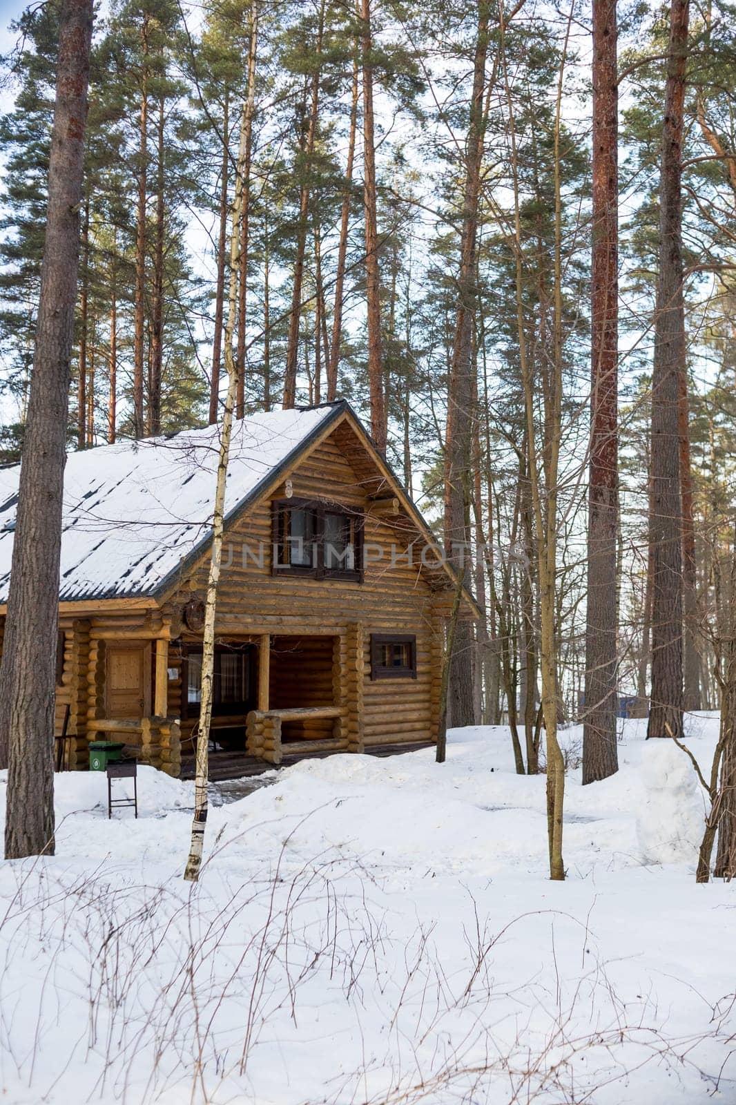 Winter's Tale. Finnish cottage in a beautiful snow forest.wooden country house cottage in winter pine forest,the roof is covered with snow,Vacation home.Northern nature by YuliaYaspe1979