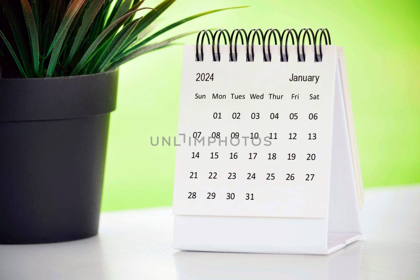 January 2024 desk calendar with potted plant on a desk with green background. Copy space.