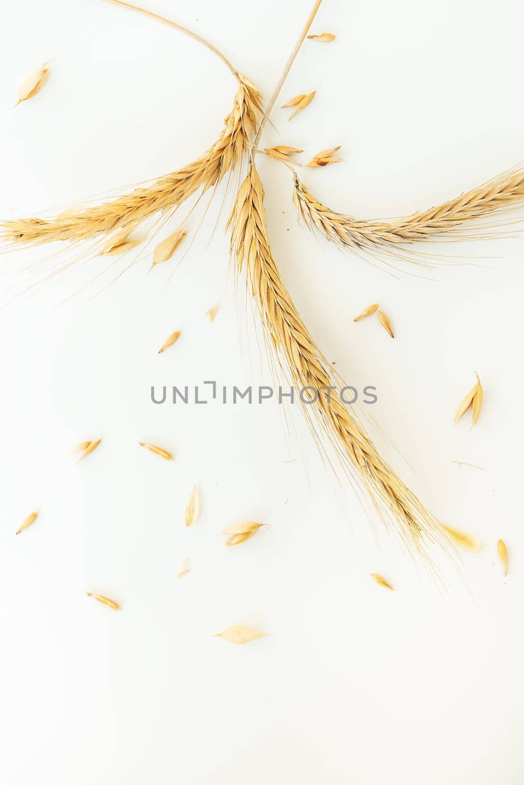 This image shows golden wheat ears and grains on a white background, symbolizing harvest and natural food