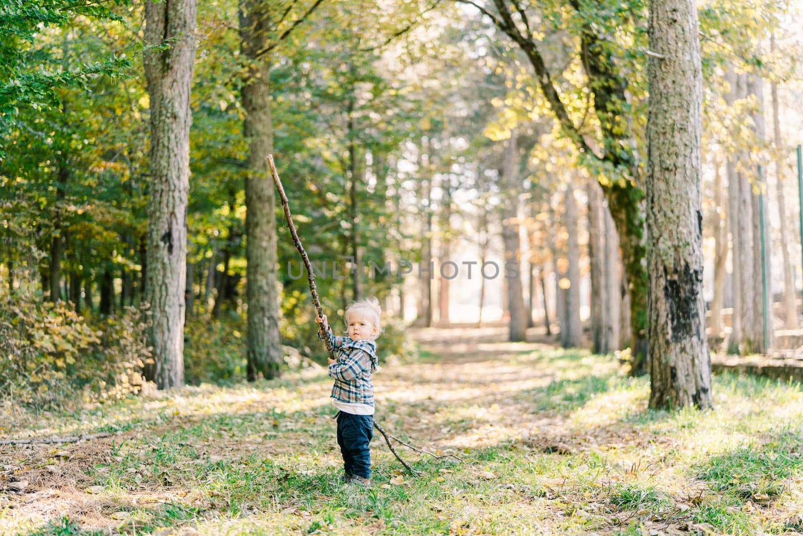 Little girl with a long stick stands on the grass in the forest. High quality photo