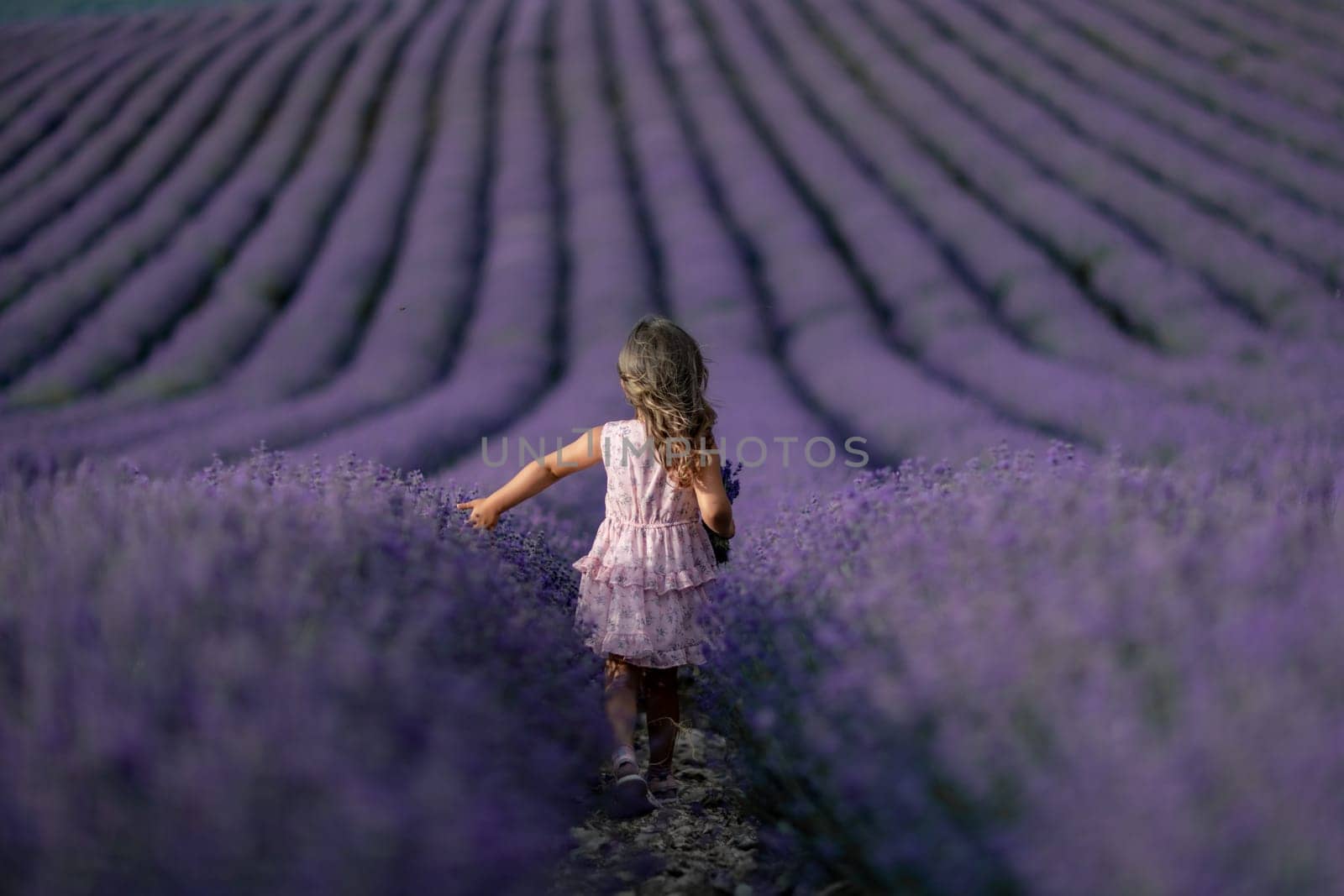 Lavender field girl. Back view happy girl in pink dress with flowing hair runs through a lilac field of lavender. Aromatherapy travel.