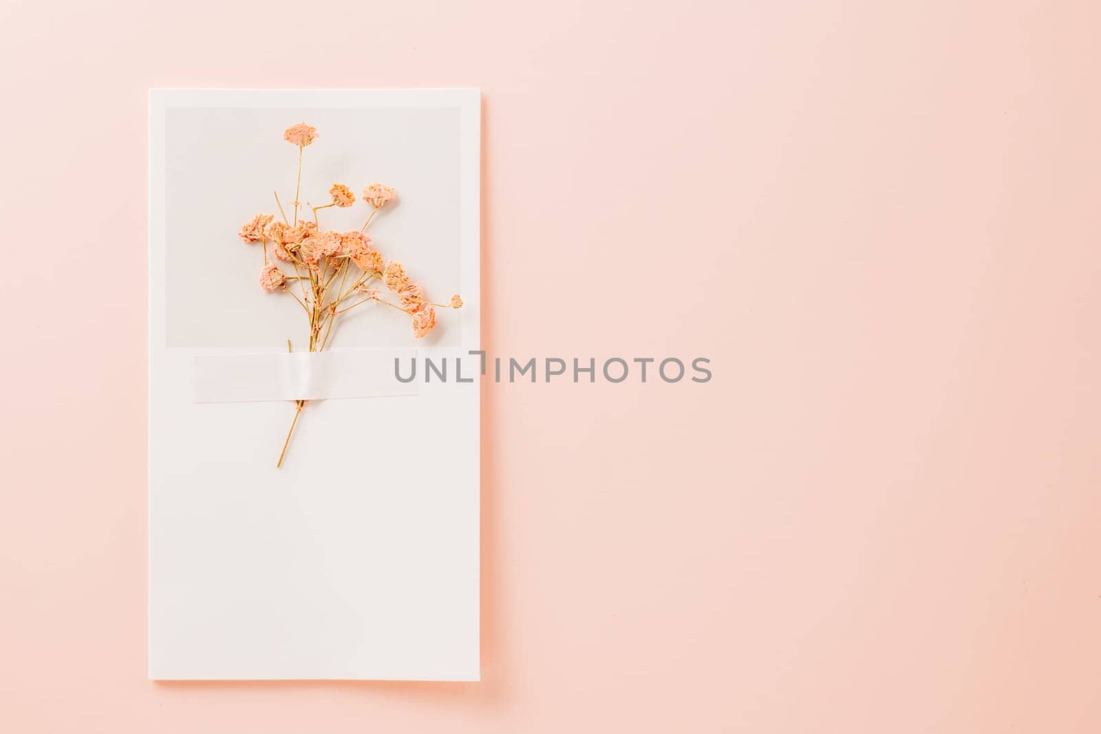 Beautiful spring flowers on paper card pastel pink background by Sorapop
