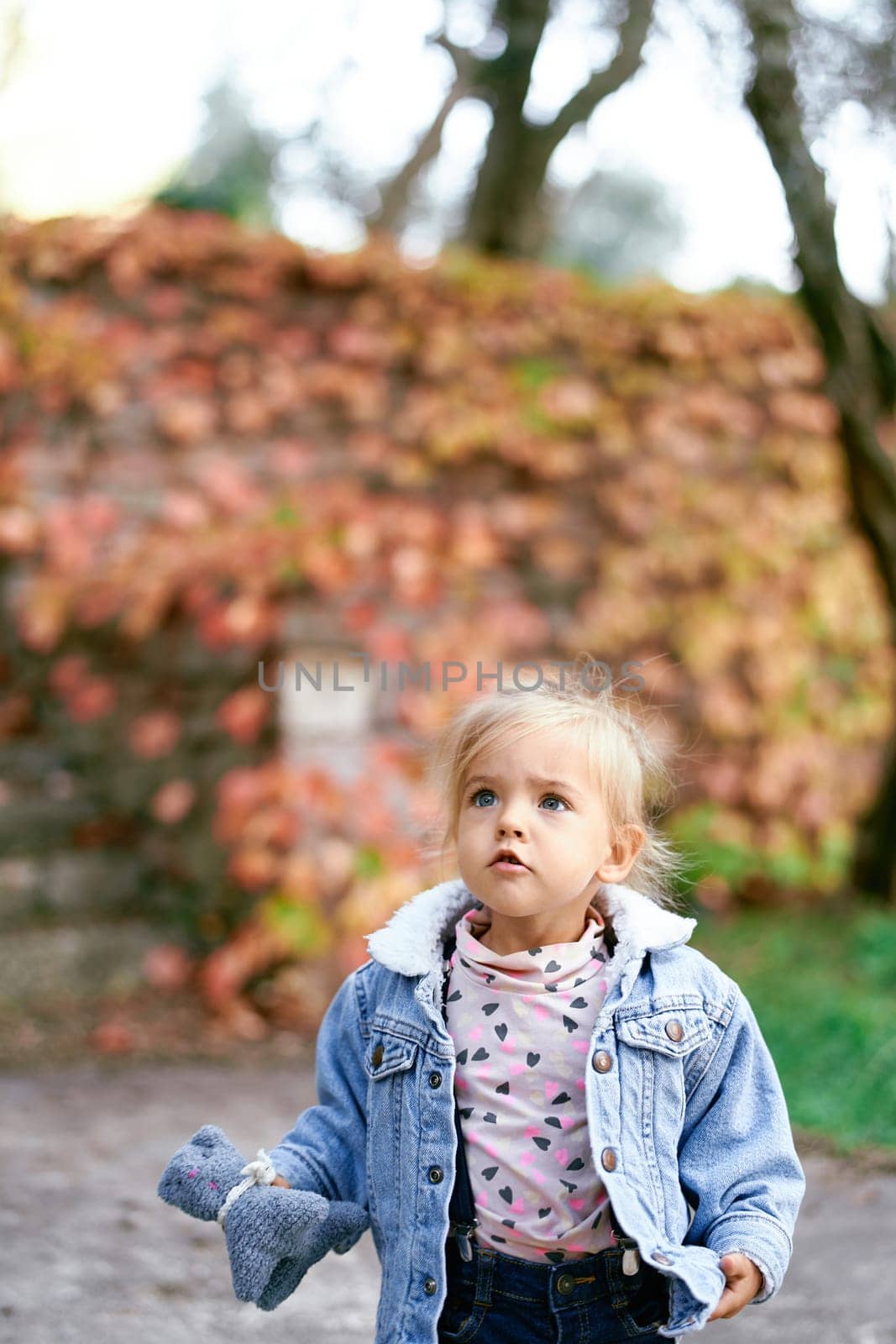 Little girl with a soft toy in her hand stands in the park and looks up. High quality photo