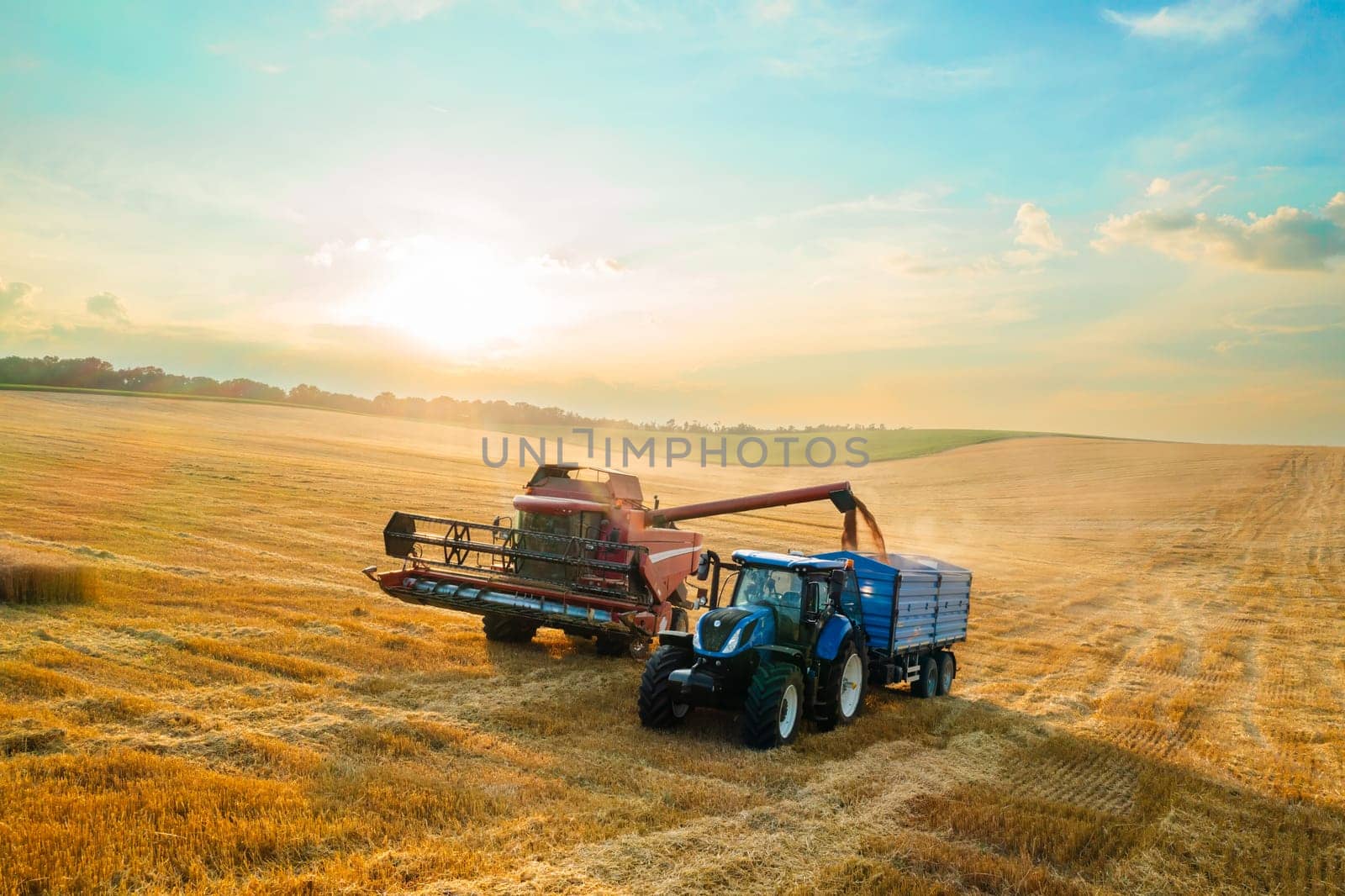 Harvester machine loads wheat grains into tractor trailer on dusty plantation aerial view. Combine reaper unloads gathered cereal crop at sunset