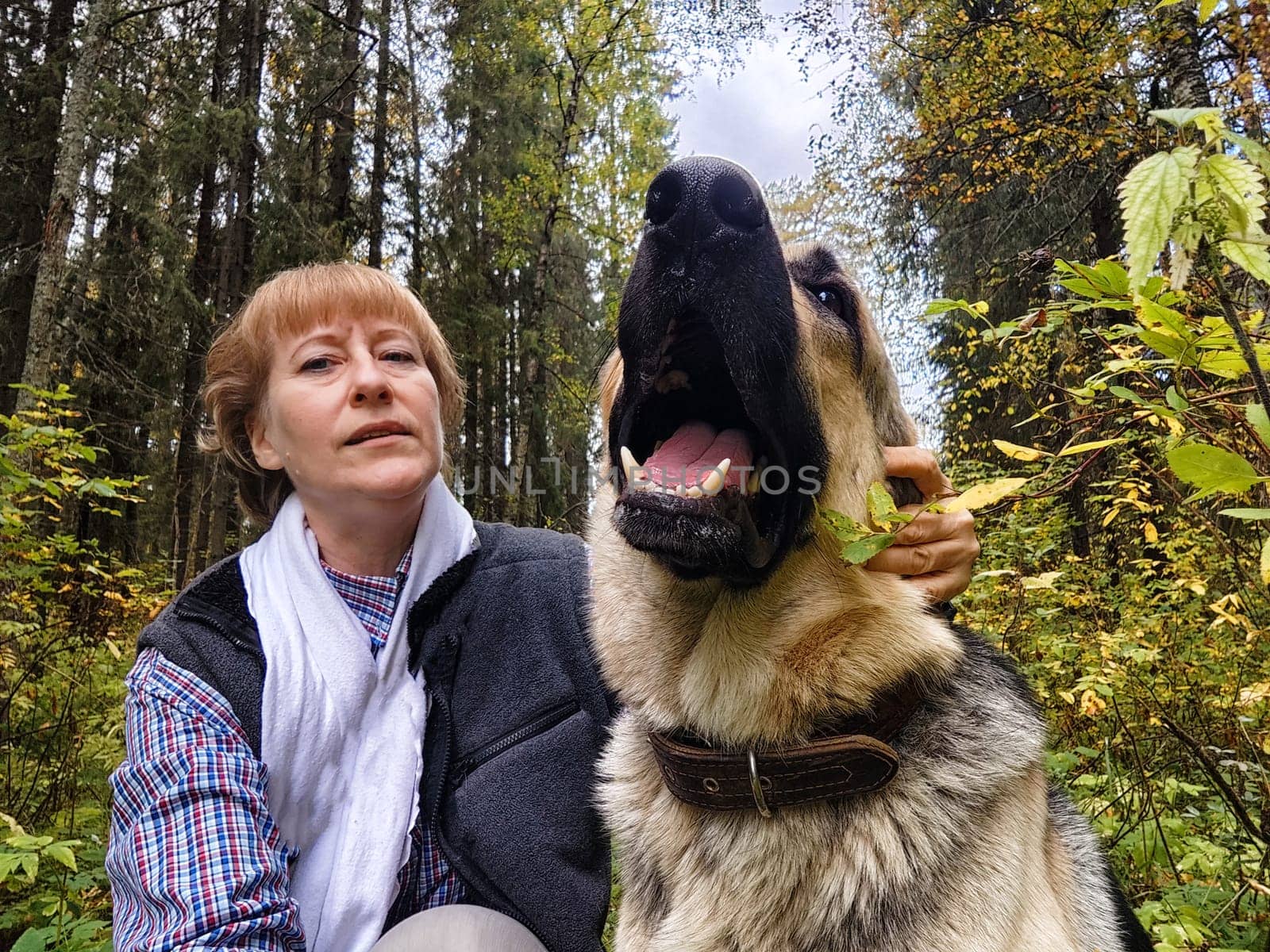 Adult girl with shepherd dog taking selfies in forest. Middle aged woman and big shepherd dog on nature. Friendship, love, communication, fun, hugs