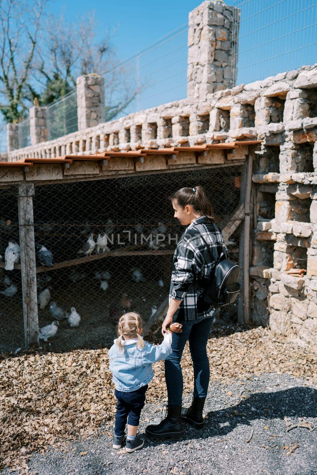 Mom and a little girl are standing near the fence of the barn with pigeons and looking at them, holding hands. Back view by Nadtochiy