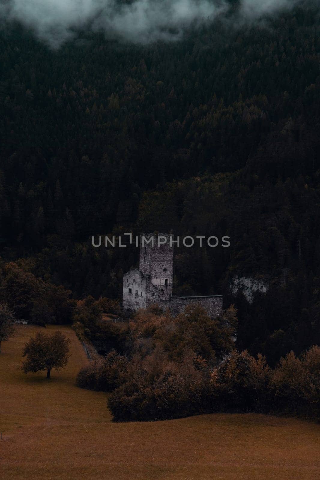 Mysteries of History: The Silent Vigil of an Ancient Castle Amidst Autumn's Forest Cloak. High quality photo