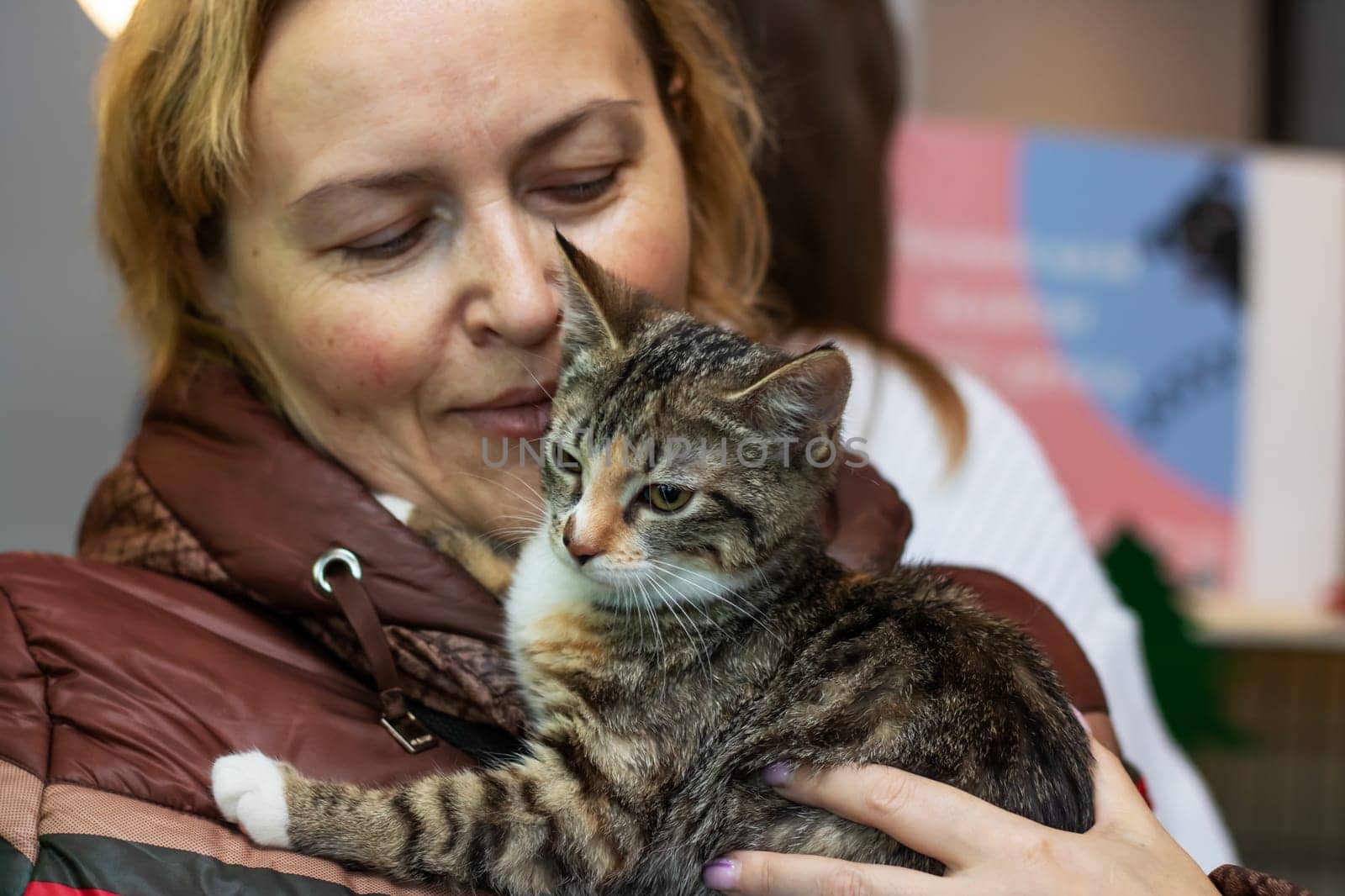 Belarus, Minsk - 17 december, 2023: Woman holding a kitten close up