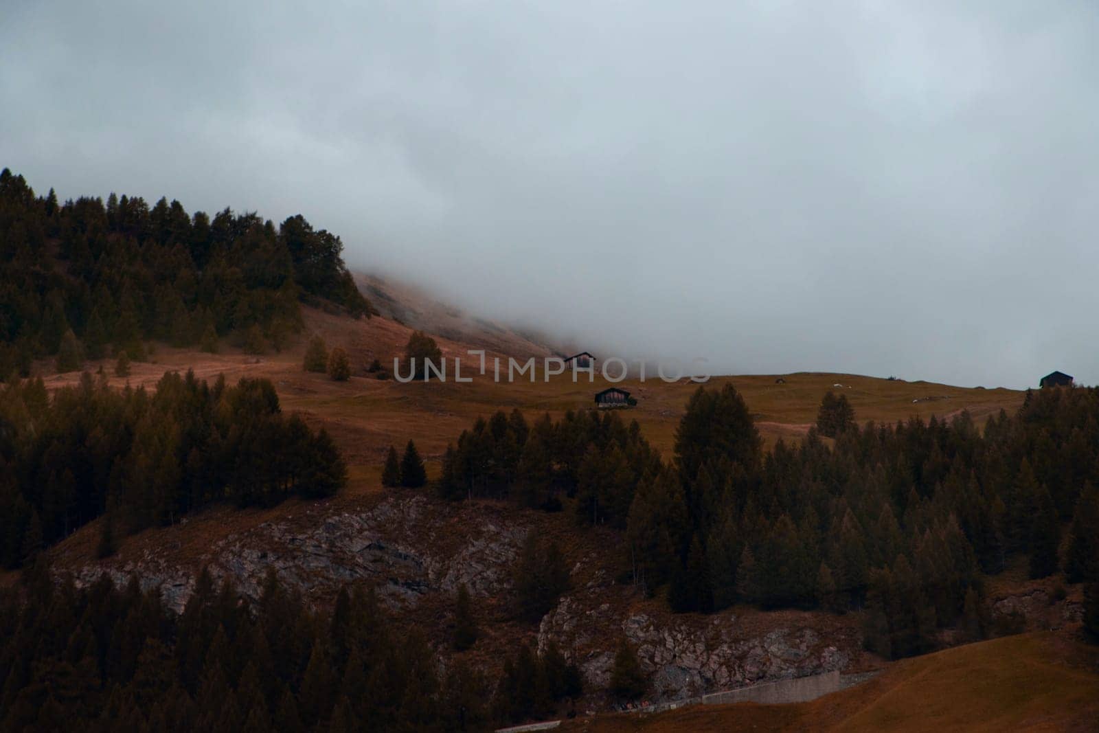 Whispers of Mist: A Solitary Cabin in a High Alpine Meadow, Shrouded by the Approaching Fog. High quality photo