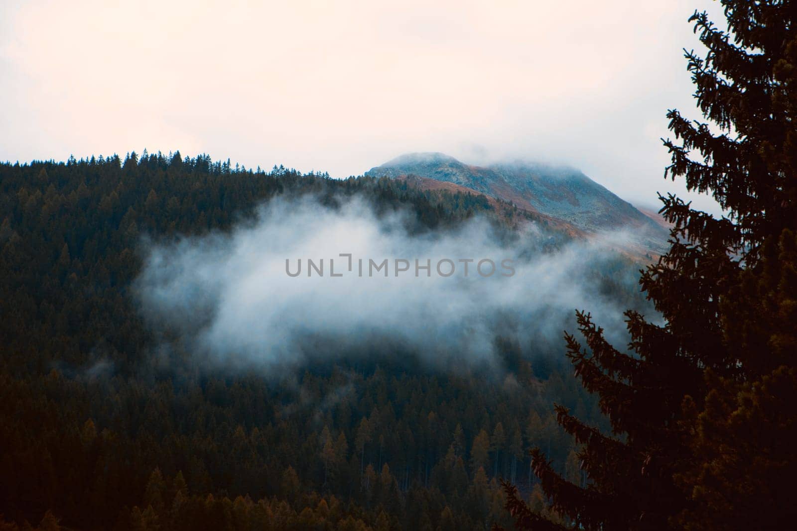 Veiled in Mist: Dawn's Light Reveals a Mountain's Splendor Beyond the Whispering Pines. High quality photo