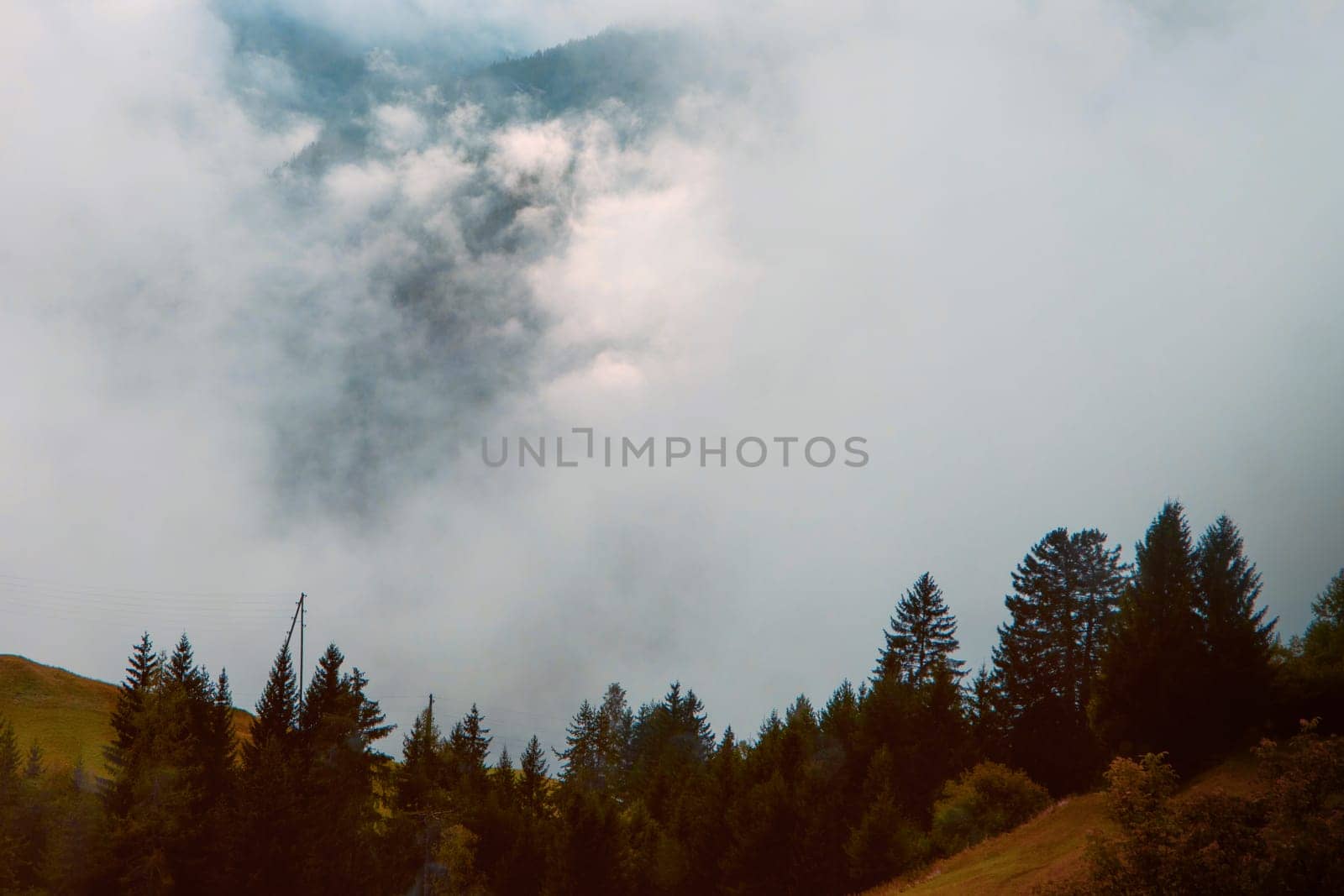 Autumn's Whisper: A Serene Alpine Forest Edging into the Mountain Mist. High quality photo