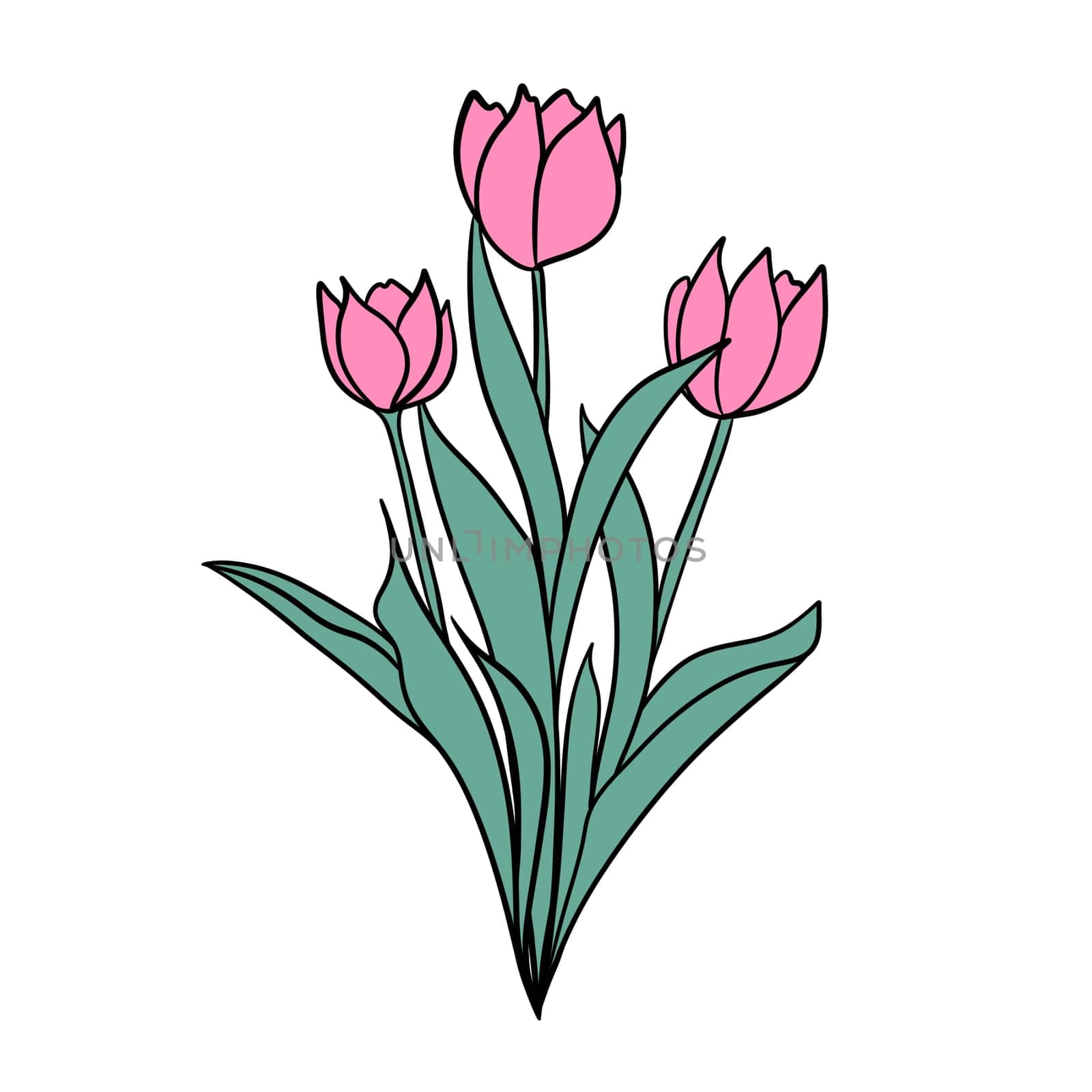 Hand drawn illsutration of two wild flowers rose tulip. Green leaves branch, pink flower floral petal blossom bloom. Spring summer elegant design. Three elegant flowers in bouquet, greeting print. by Lagmar