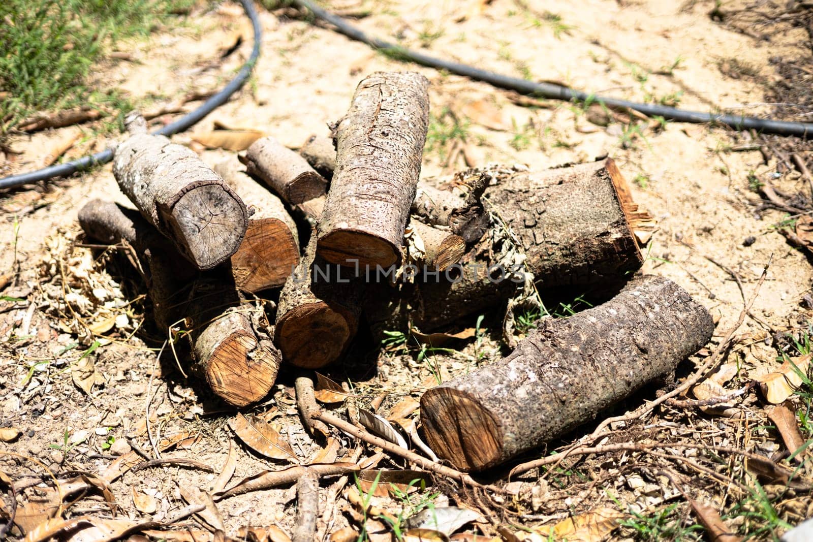 The wood was cut and piled up in the park for preparing moving.