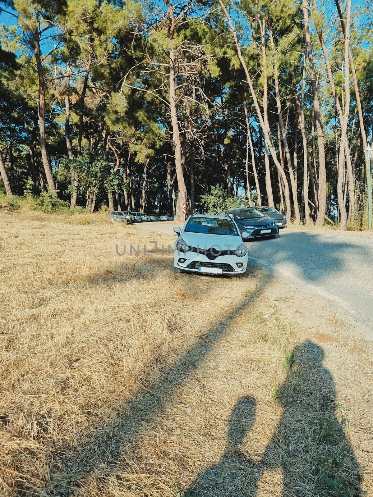 vertical photo of a white car parked near the road coming out of the forest. concept of traveling by car, summer vacation, car trip