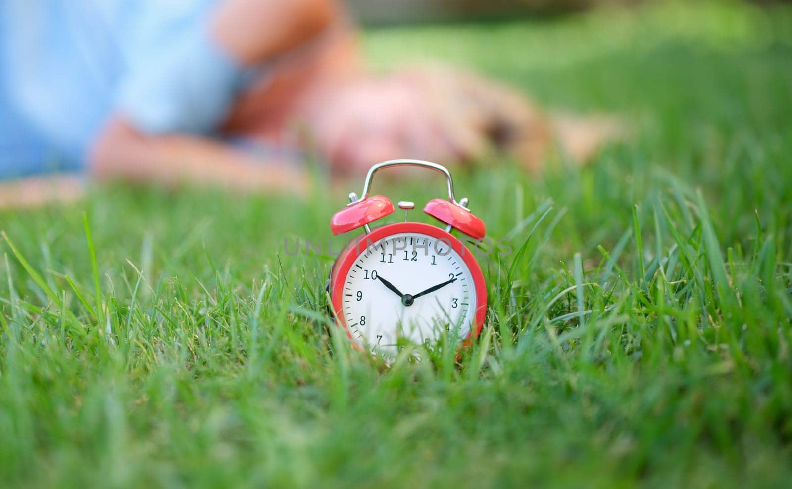 Red alarm clock on grass in background lies woman by kuprevich