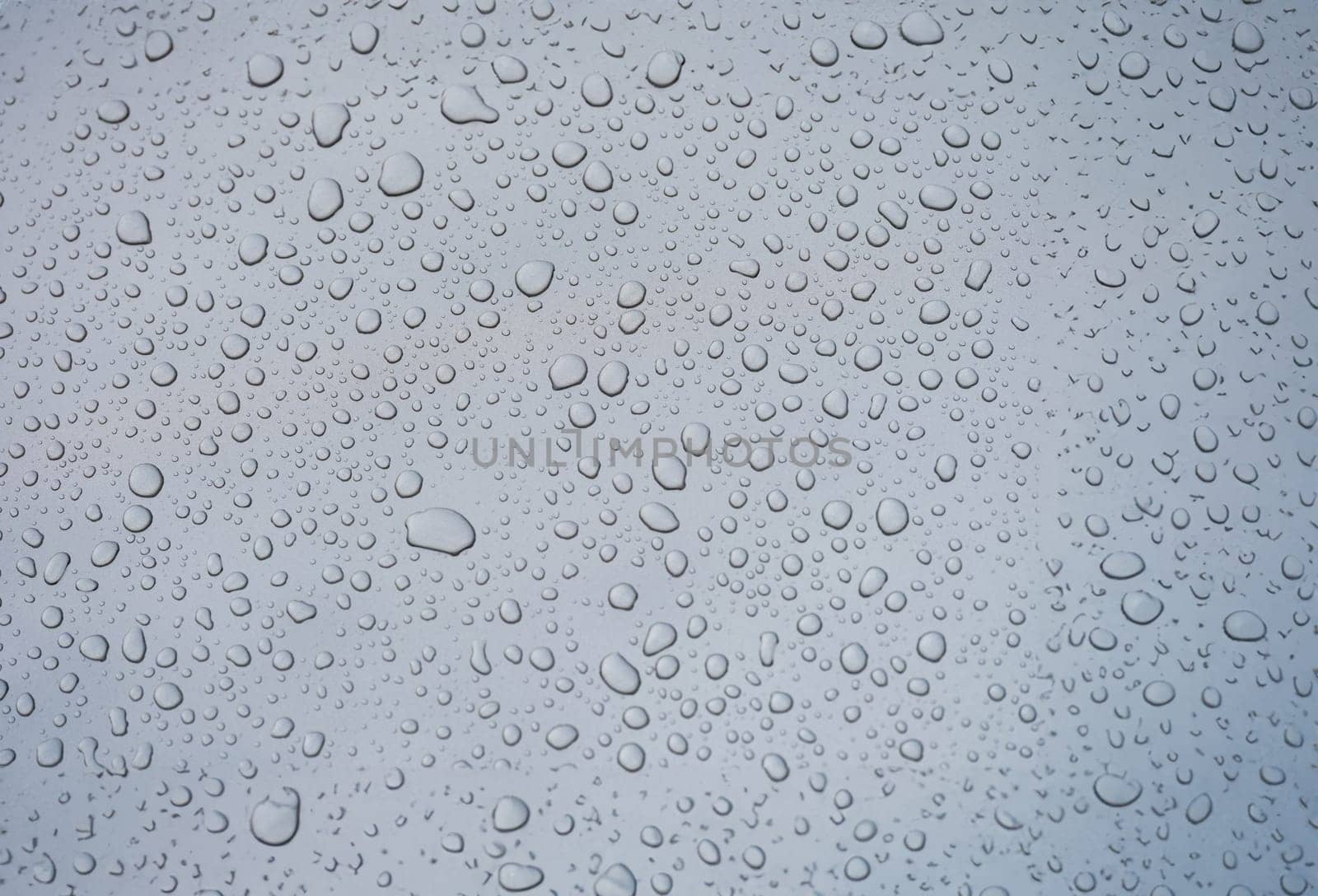 Closeup of raindrops on gray window glass texture background. . Rainy weather concept and natural condensation wallpaper.