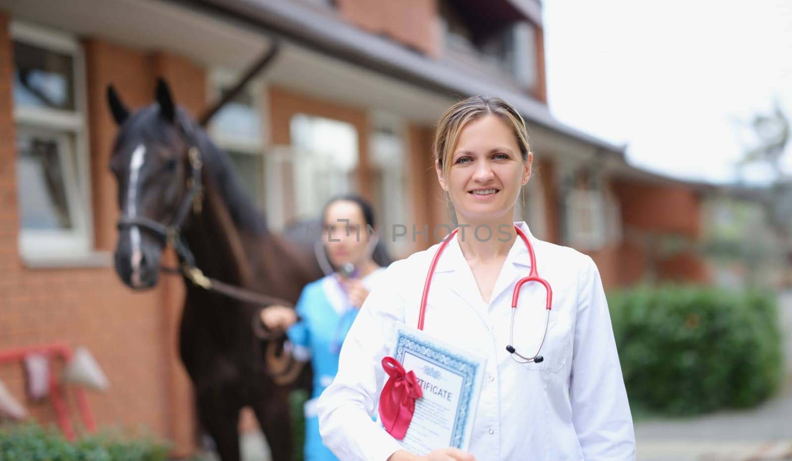 Veterinarian doctor holds horse certificate in background by kuprevich