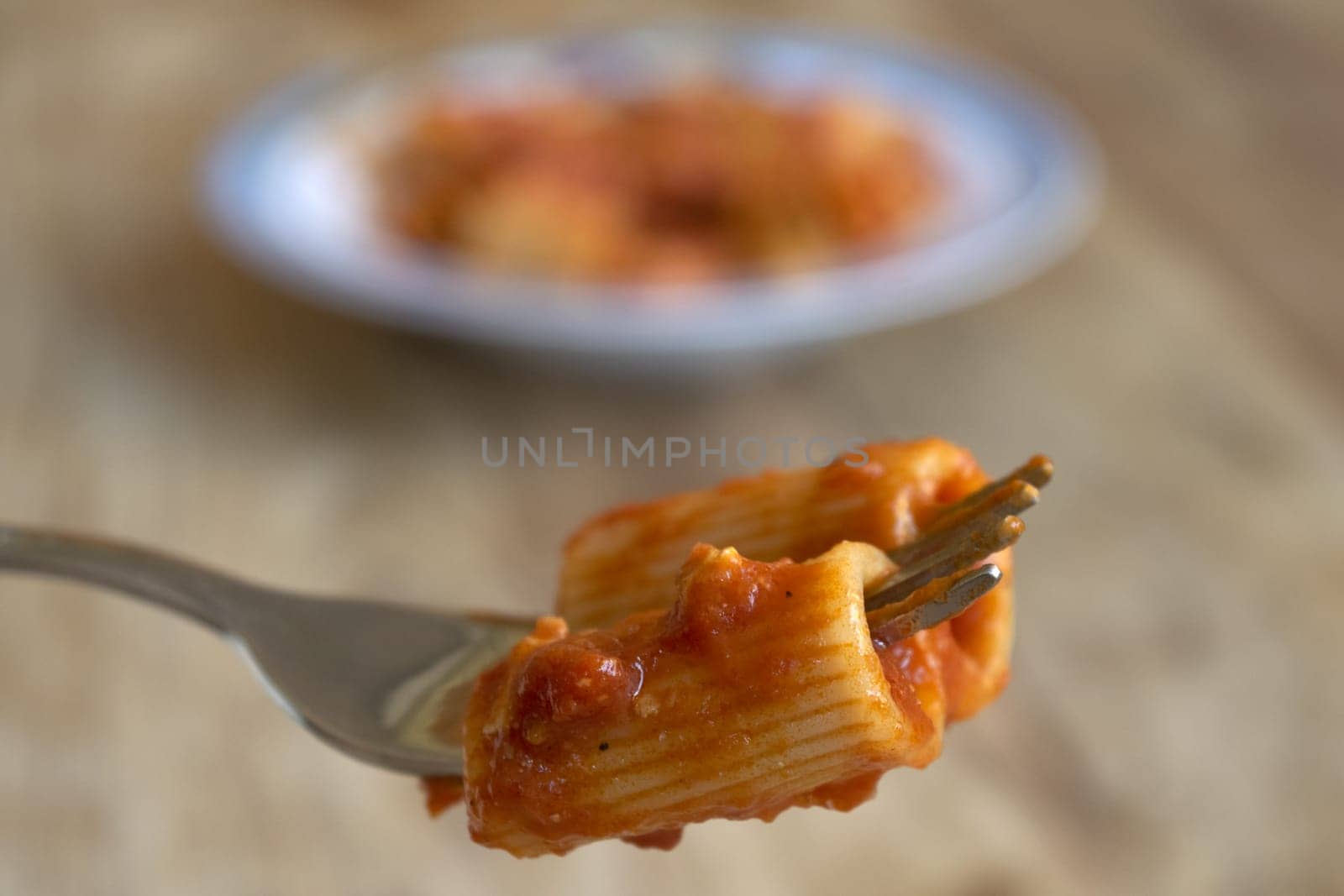 fork with rigatoni with tomato sauce and in the background a plate of pasta with sauce