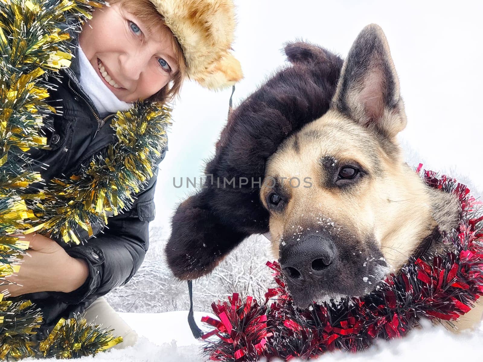 Funny Adult girl with shepherd dog in tinsel, fur caps taking selfie in a winter cold nature. Middle aged woman, big pet and Christmas or New Year