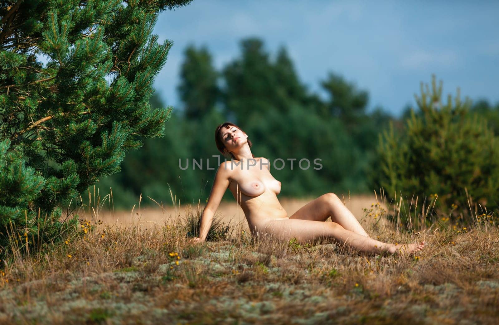 Youth, beauty and nudity. Young naked woman sunbathing on a forest glade among young pine trees