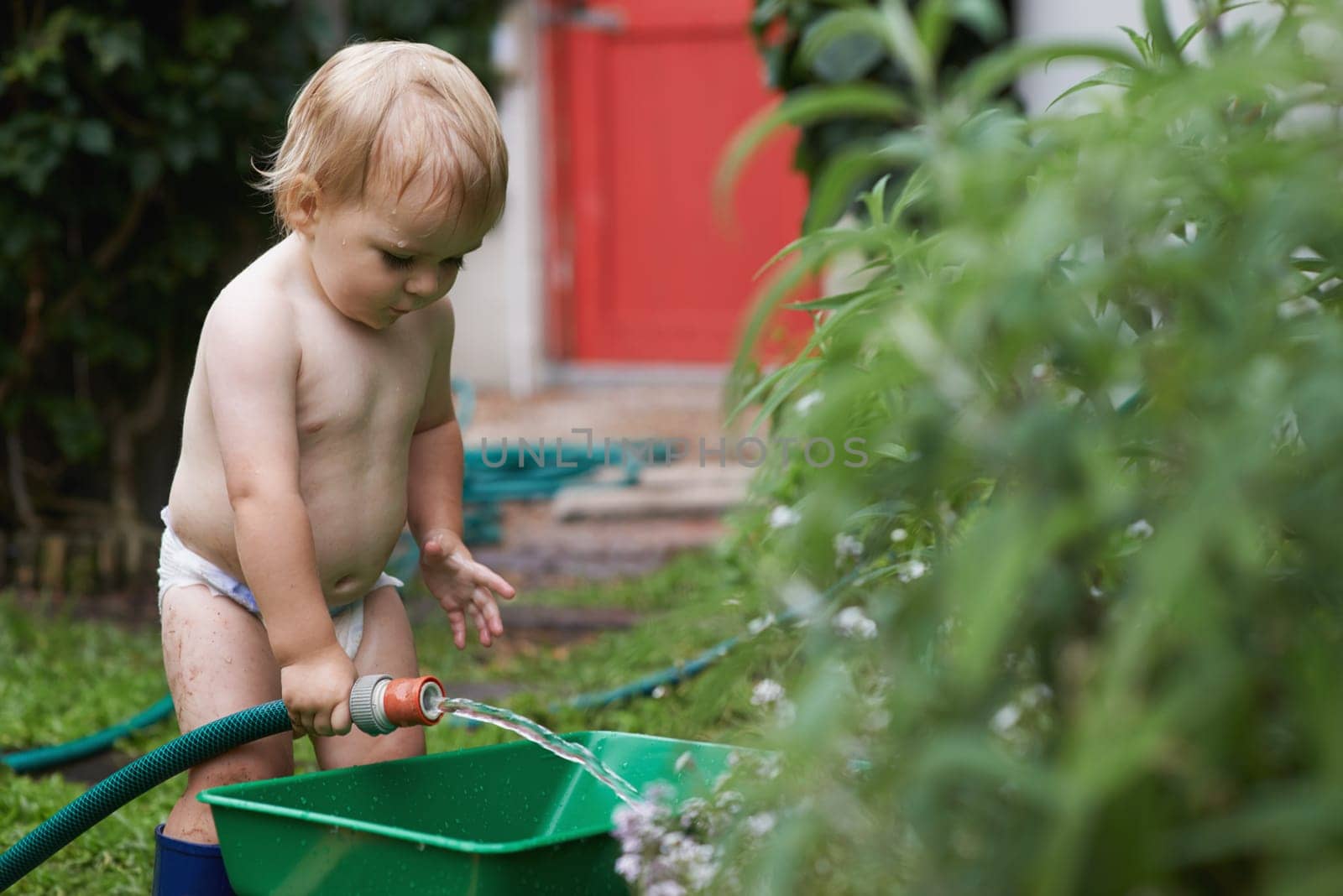 Boy, playing with hose and gardening, water and development with bucket, curiosity and backyard. Toddler, child and infant in garden, alone and childhood for skills, growth and coordination.