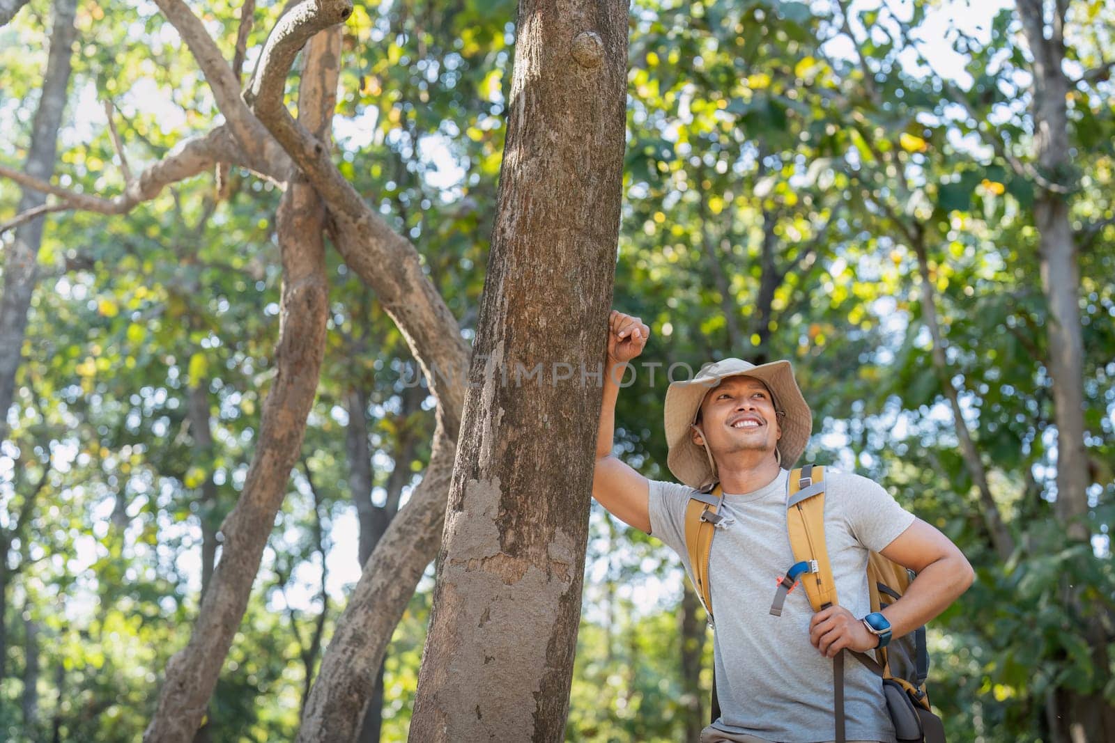 Young man asian trekking among trees with backpack, young man enjoy alone in forest. Camping, hiking, travelling, search for adventure concept.