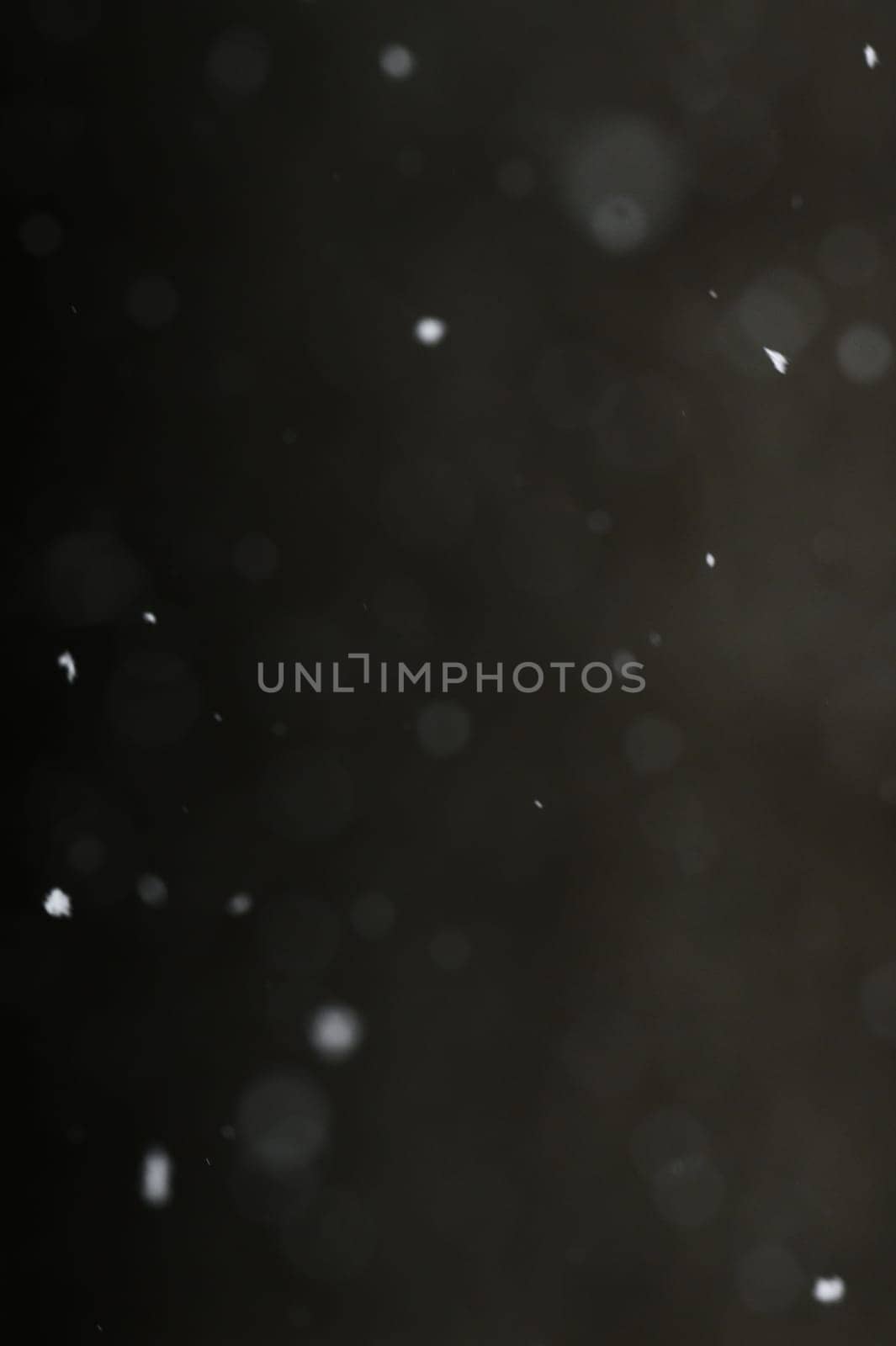 Bokeh of white snow on a black background. Snowfall - new design element.