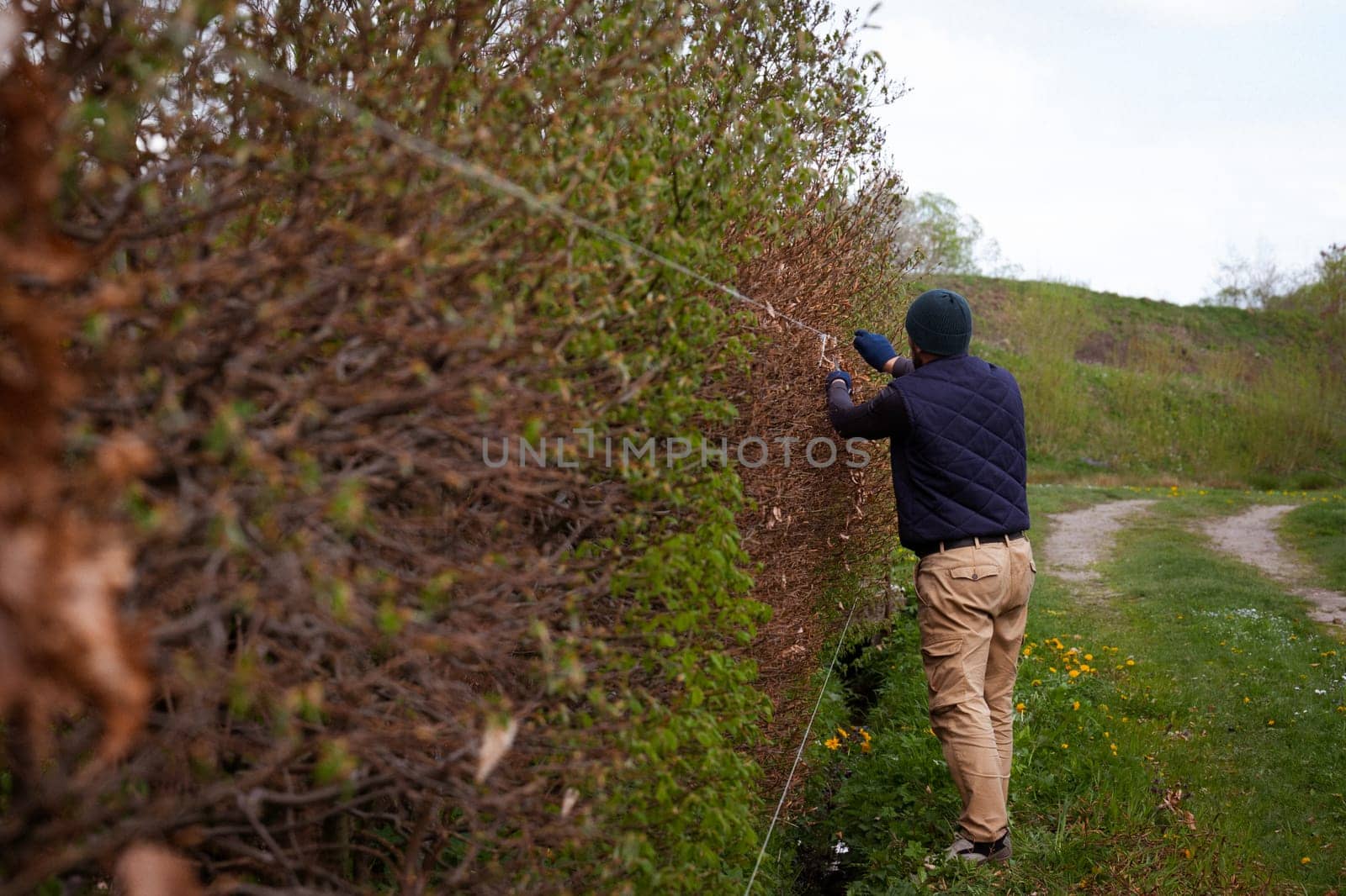 A male gardener trims a hedge in early spring, leveling it with stretched laces by Niko_Cingaryuk