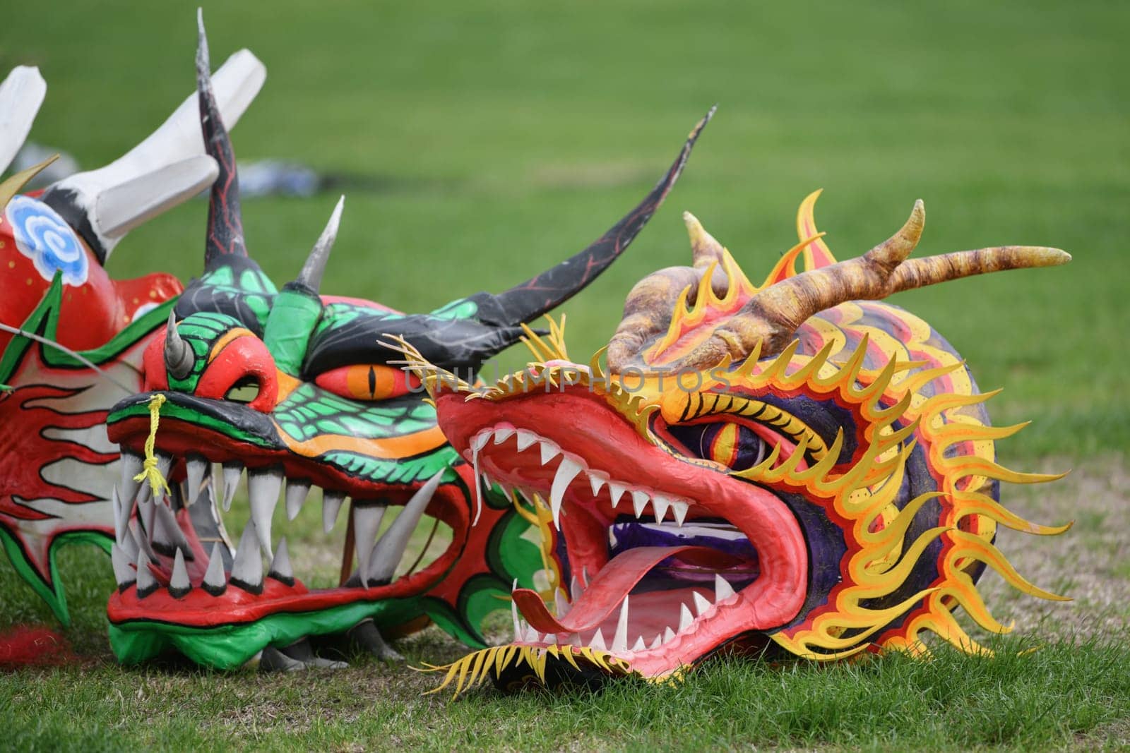Heads of the toothy dragon kites