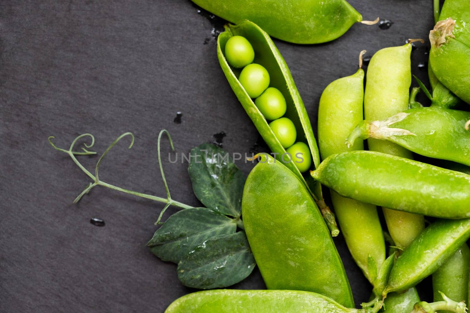 Organic green peas in pods, freshly harvested and displayed on a dark slate background, with a focus on healthy eating and natural produce