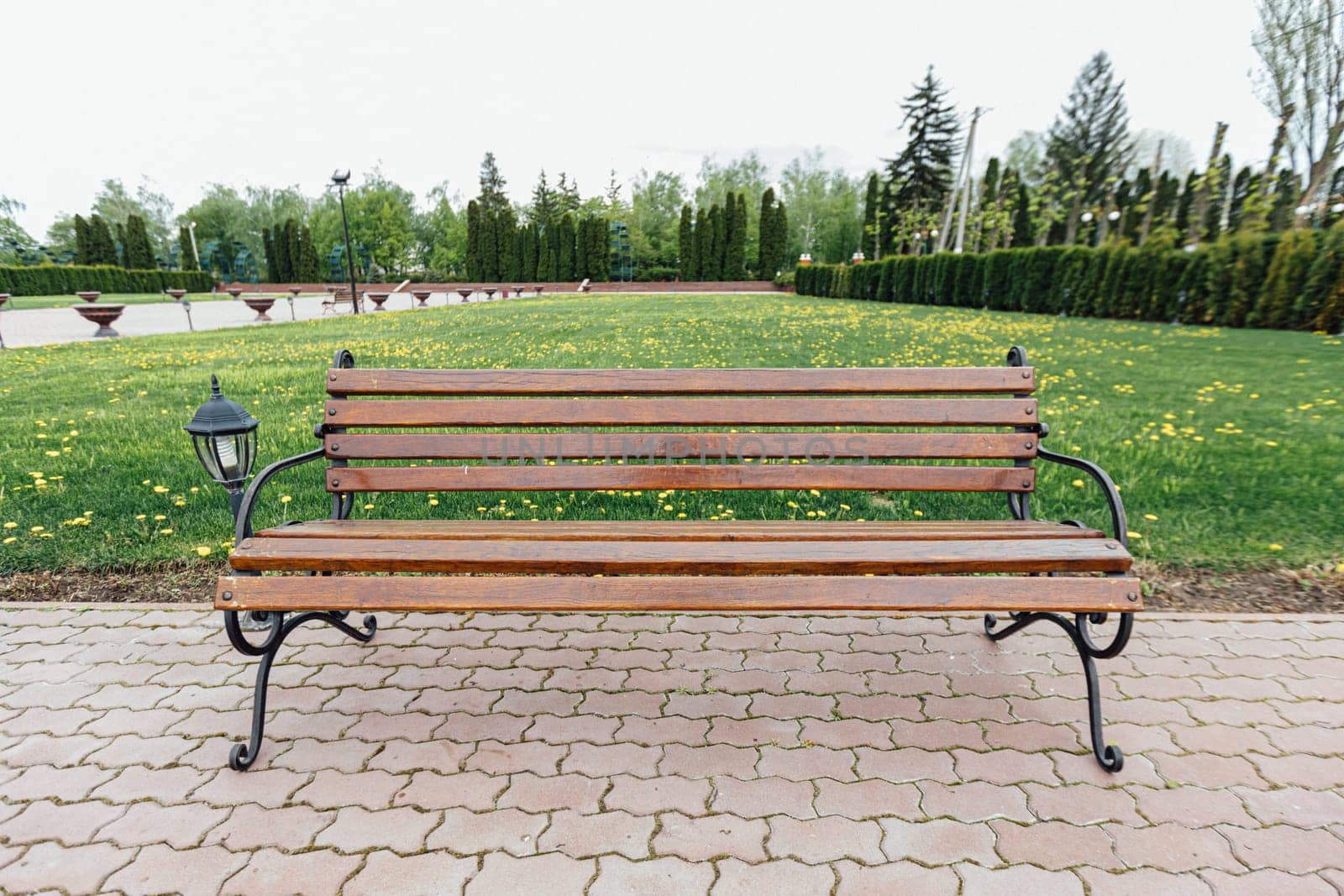 wooden bench on a background of green grass. High quality photo