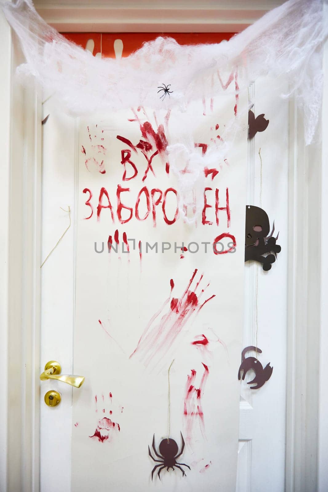 door at school halloween, spider web on the door. High quality photo