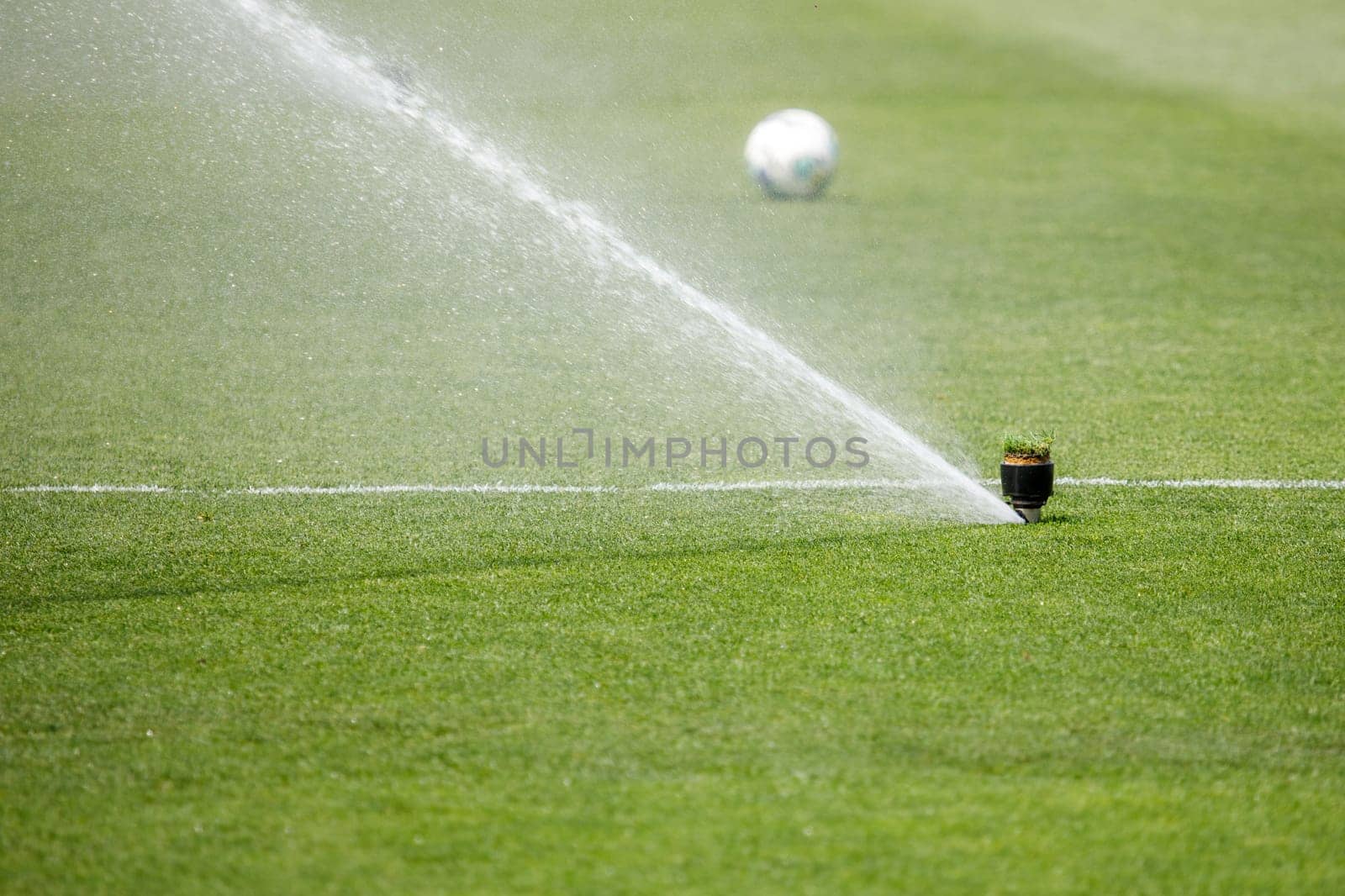 Watering the lawn water grass football field. High quality photo