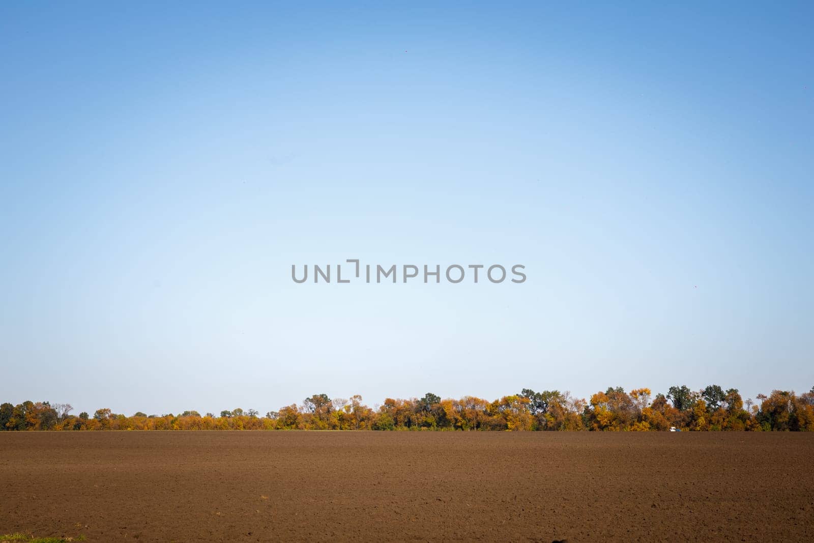 plowed field and blue sky autumn trees. High quality photo