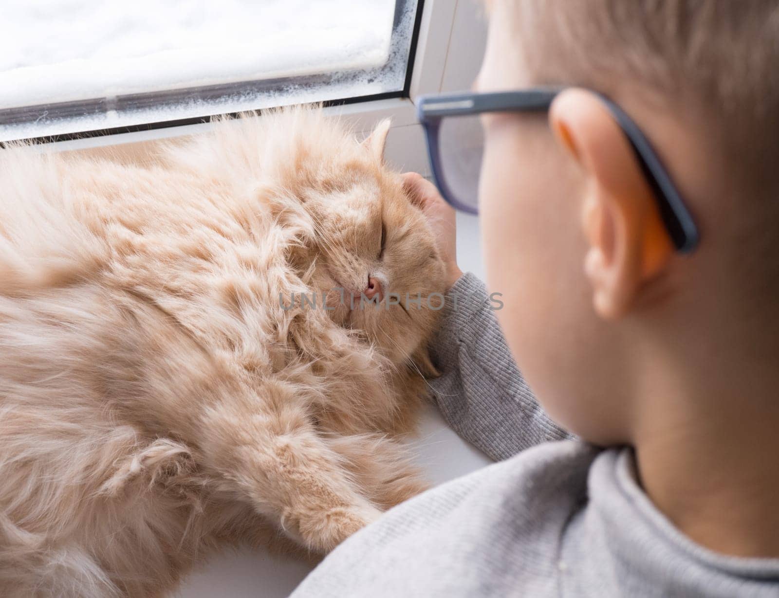 A child, a boy plays with his favorite fluffy red cat by the window. A child strokes a cat. Attachment between children and pets. The funny life of cats at home by Ekaterina34