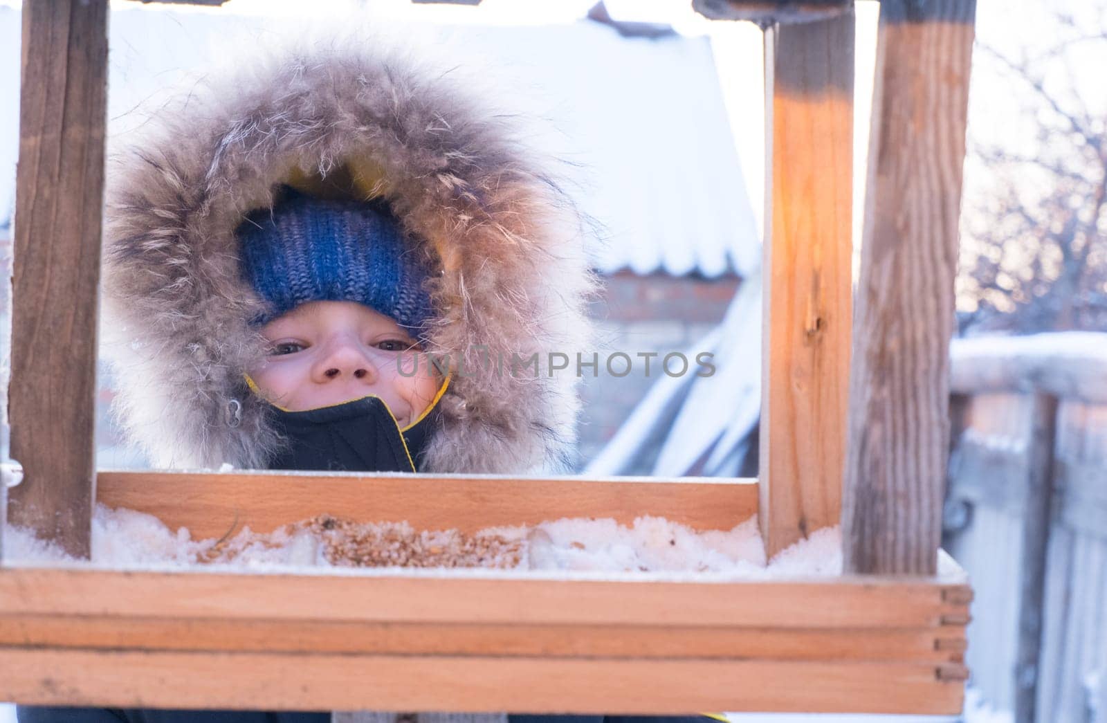 Close-up of an adorable child, boy feeding birds on a cold winter day, pouring grain into a feeder. A child helps birds in winter. Winter activities for children.