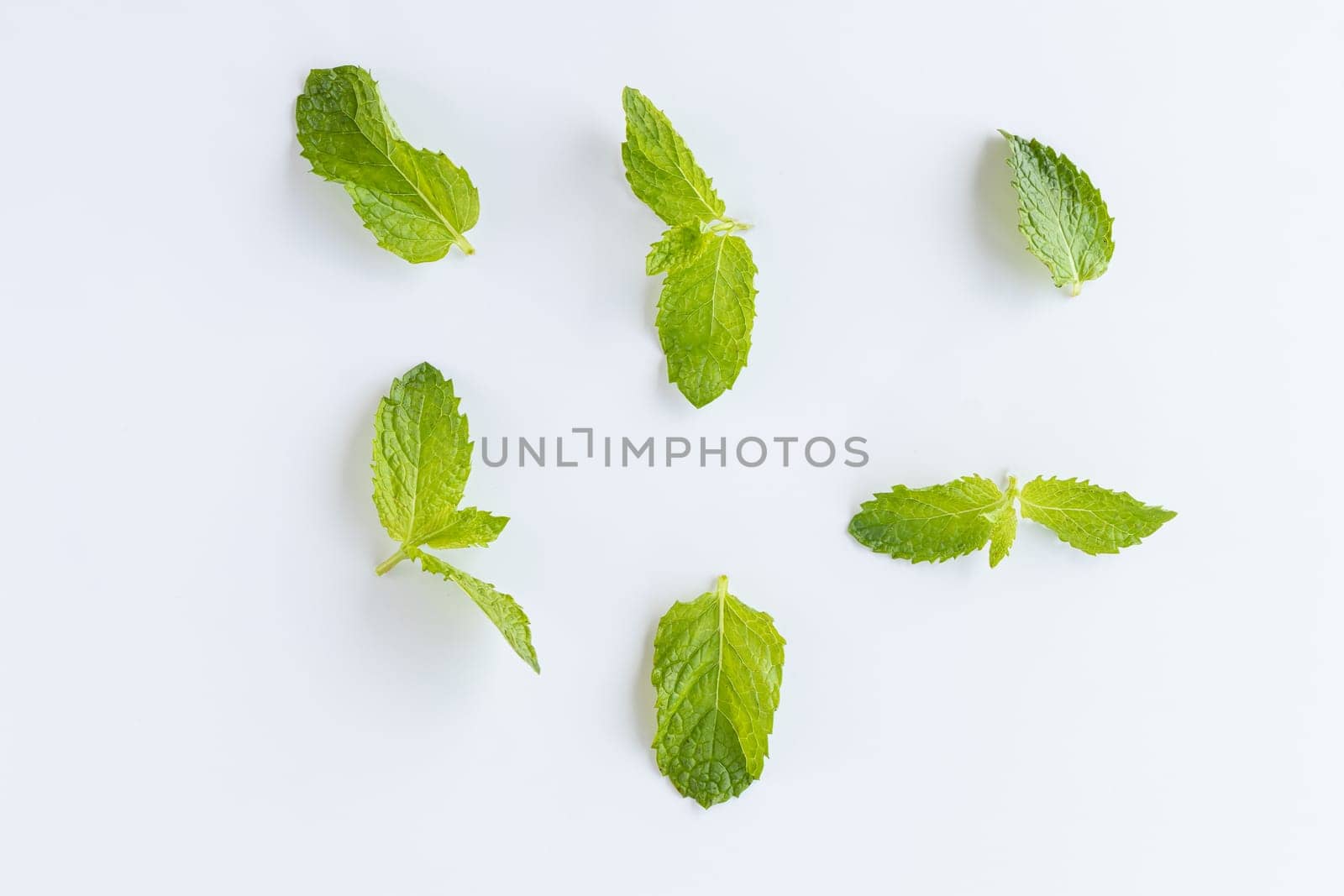 top view of fresh green basil leaves on white background. by Leoschka