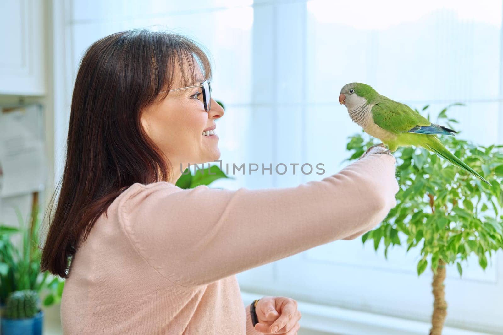 Middle aged woman bird owner holding green quaker parrot on hand by VH-studio