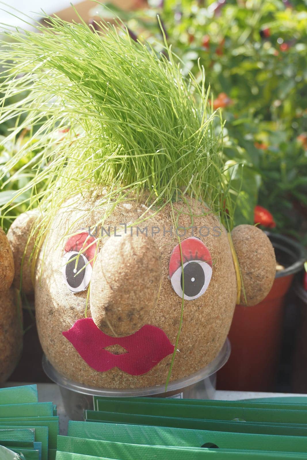 Handmade doll for growing grass seeds as hairs. Child education.