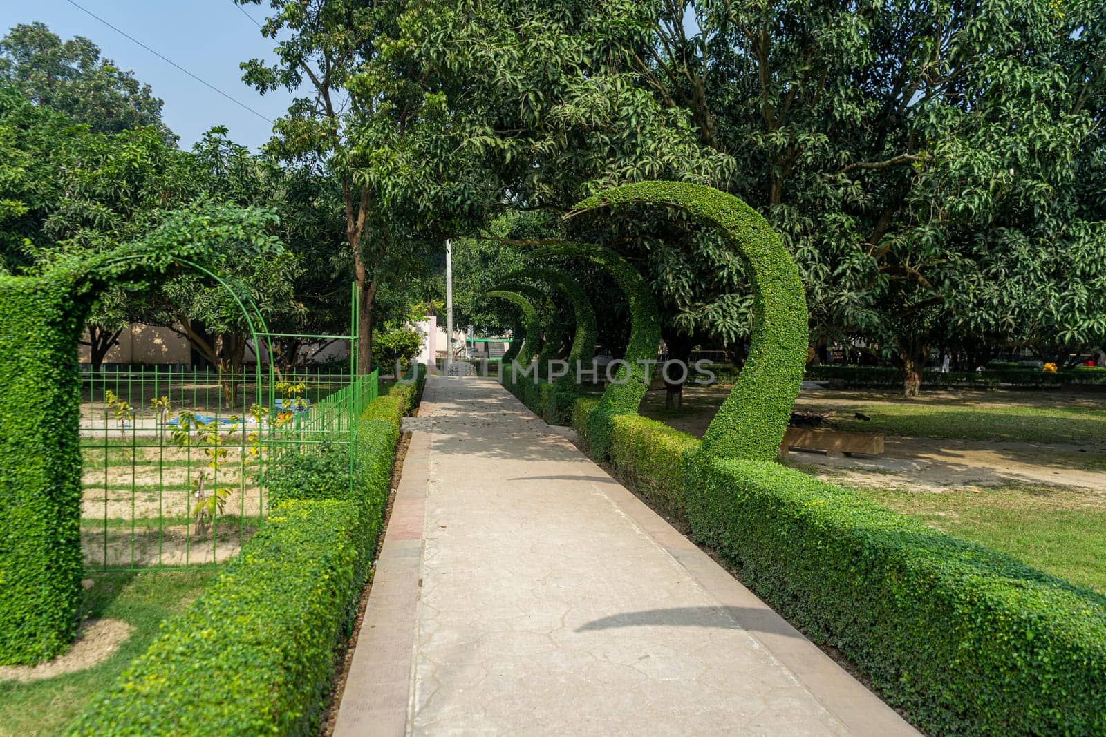 An alley in the park with decoratively trimmed bushes