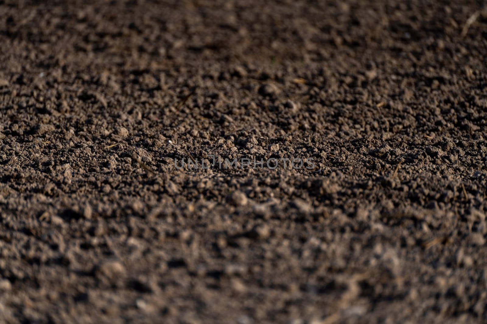 Soil texture background. Fertile soil suitable for planting. Plowed agricultural field, dry land close up. by Matiunina