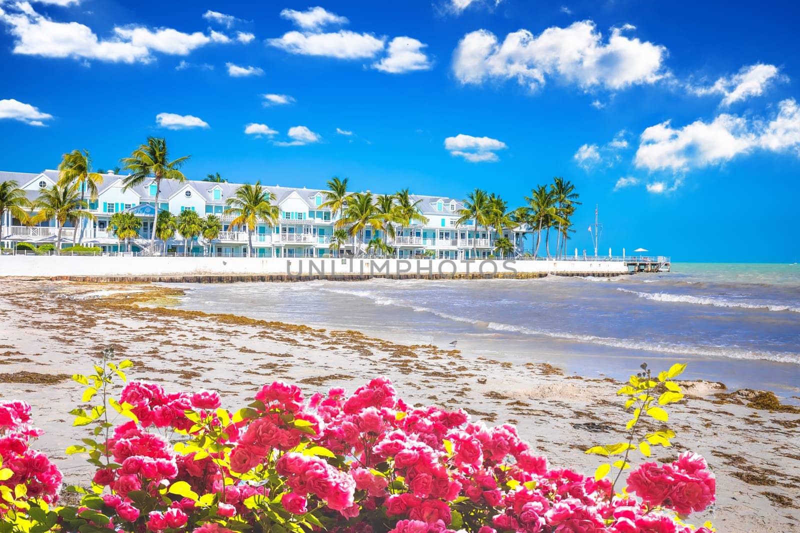 Duval Street Pocket Park beach and waterfront in Key West view, south Florida Keys, United states of America