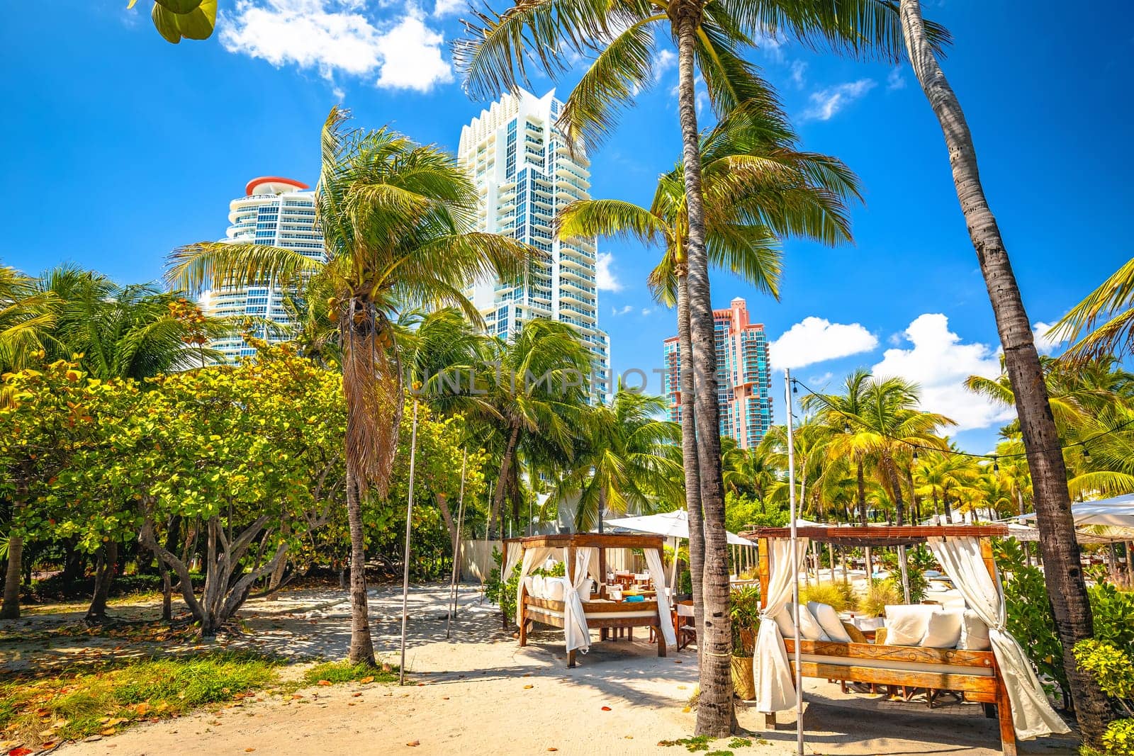 Miami South Beach park view, Florida  by xbrchx