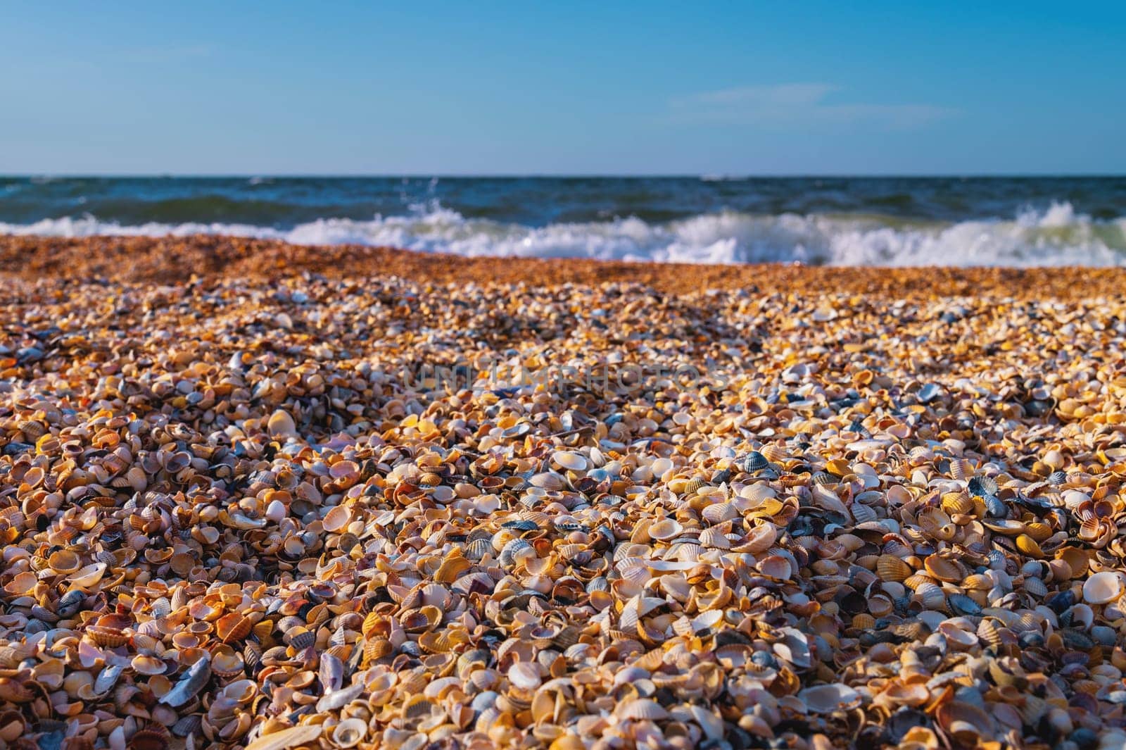 sea sand made from shells on a summer day. close-up of the beach and sea wave.