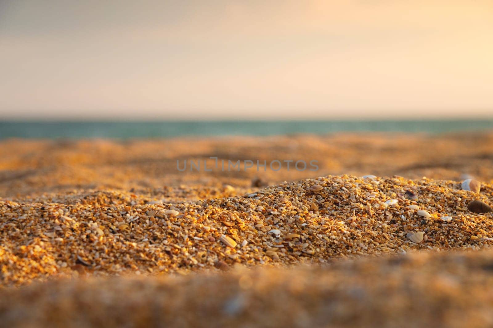 Close-up of shell golden sand in shallow depth of field with sea or ocean in the background at sunset. Marine background in warm colors by yanik88
