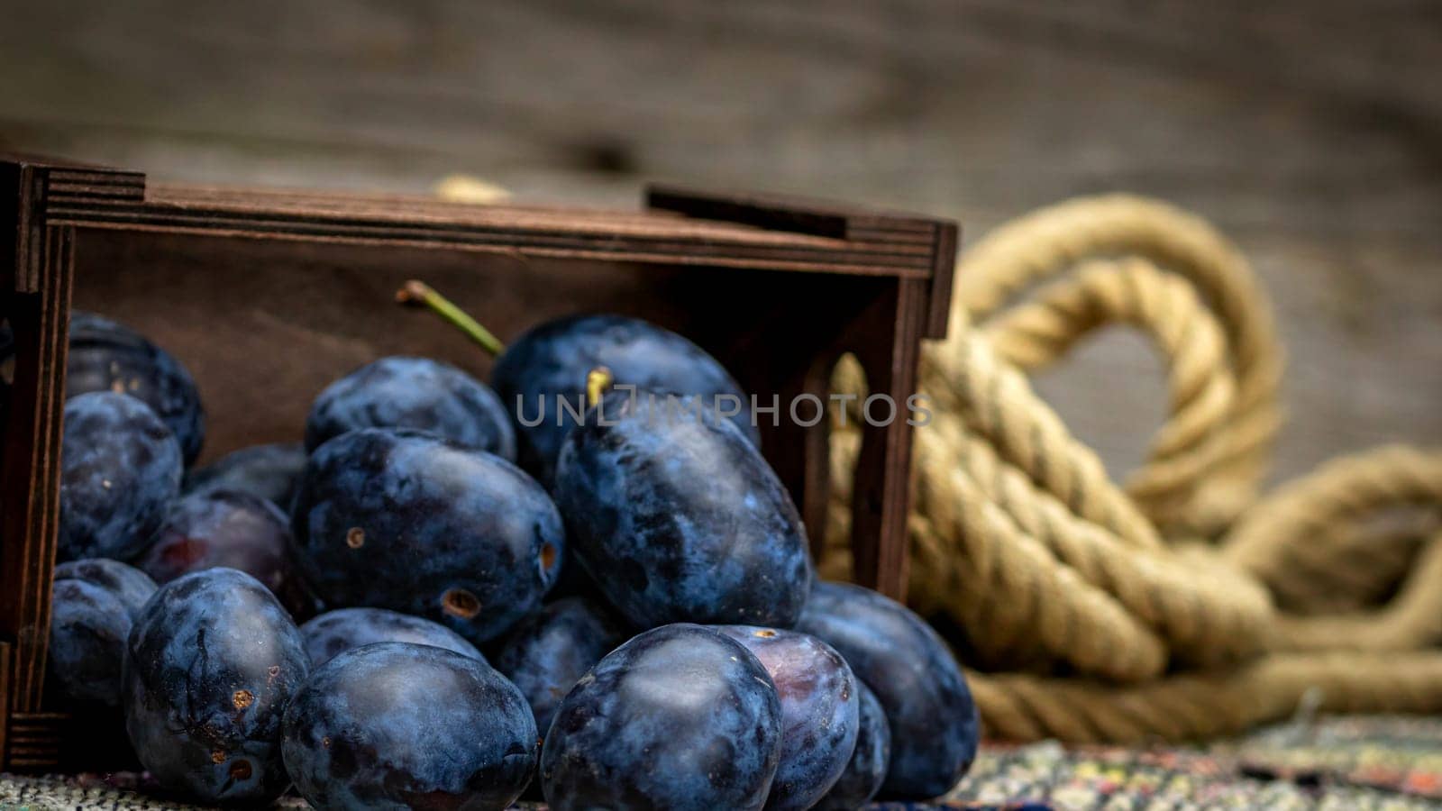 Ripe blue plums in a wooden crate in a rustic composition.