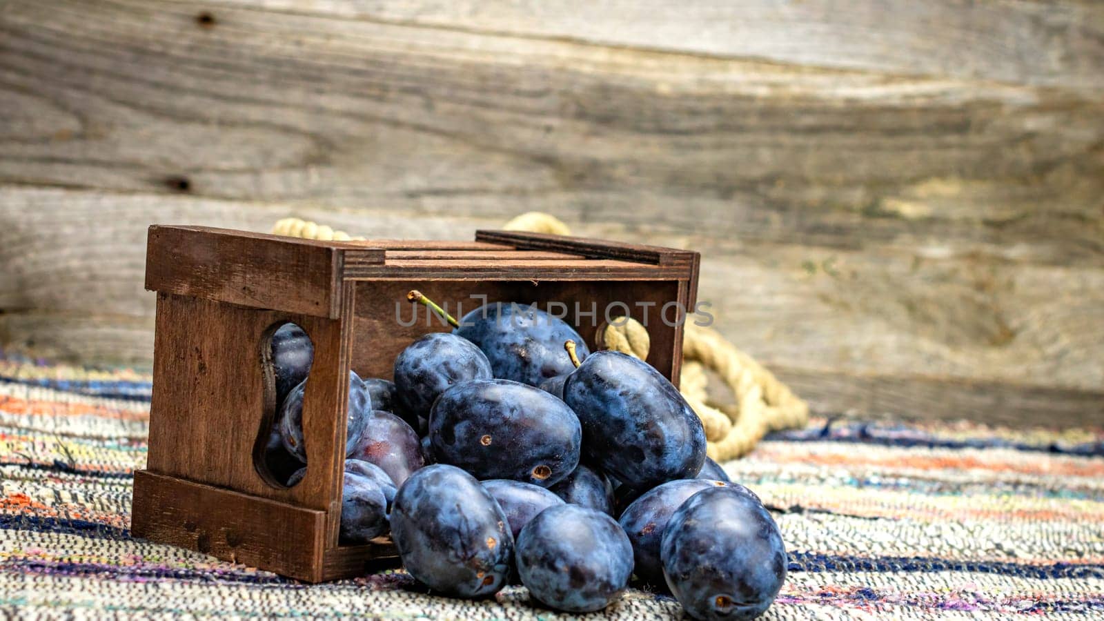 Ripe blue plums in a wooden crate in a rustic composition.