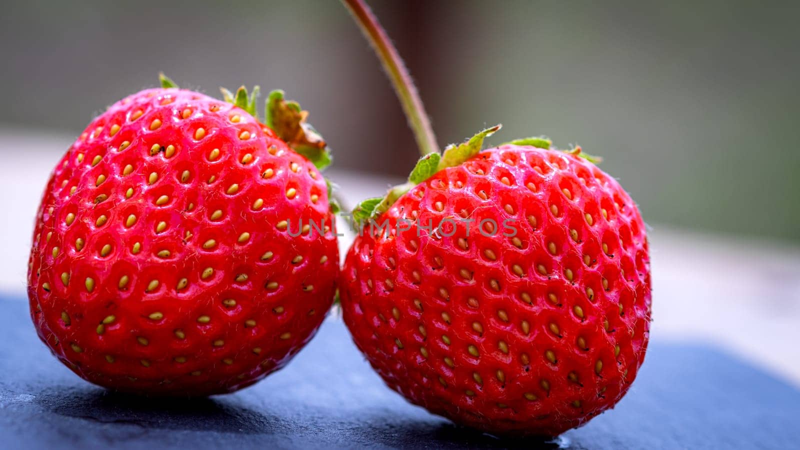 Close up of fresh strawberries showing seeds achenes. Details of fresh ripe red strawberries. by vladispas