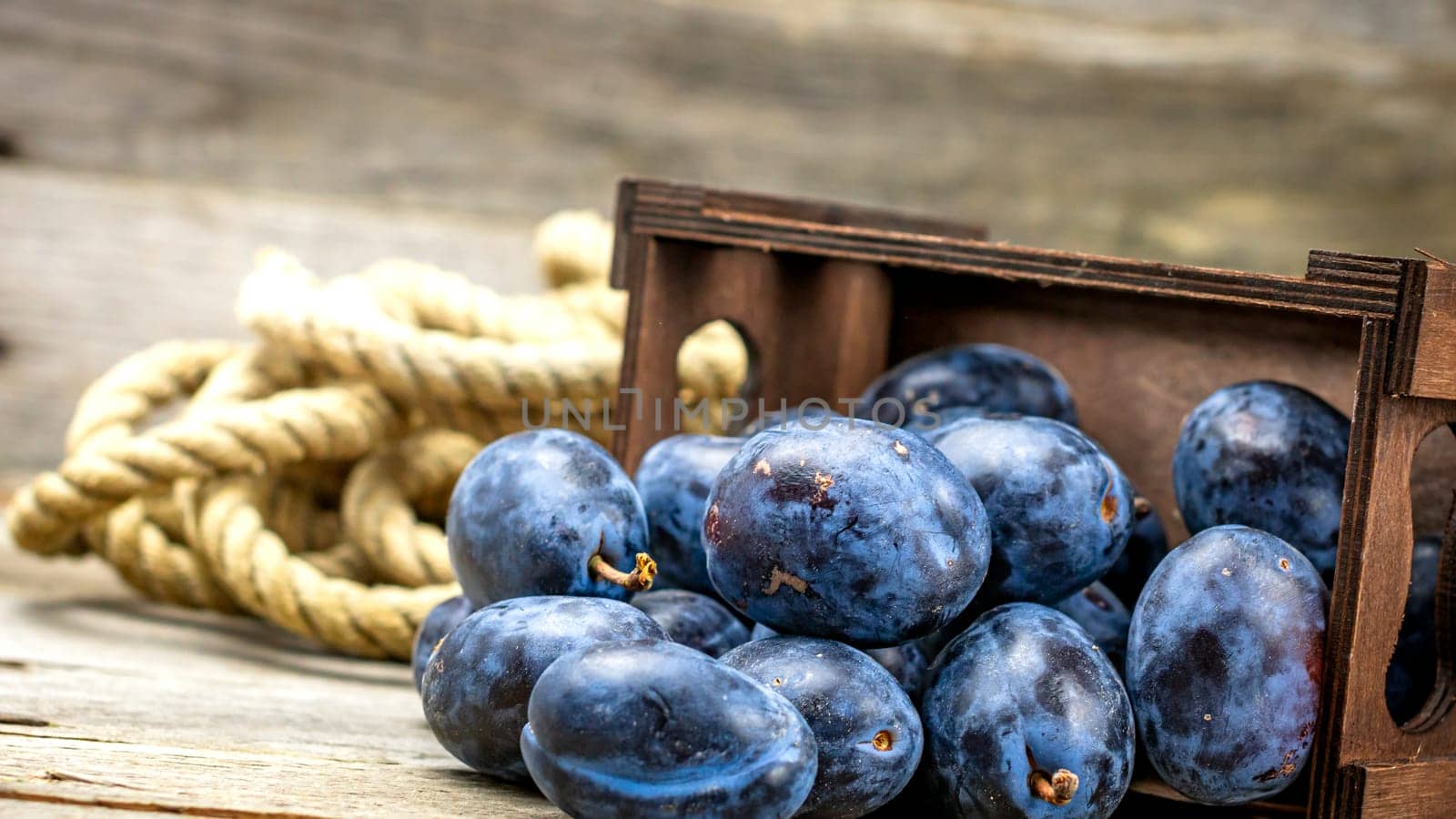 Ripe blue plums in a wooden crate in a rustic composition.