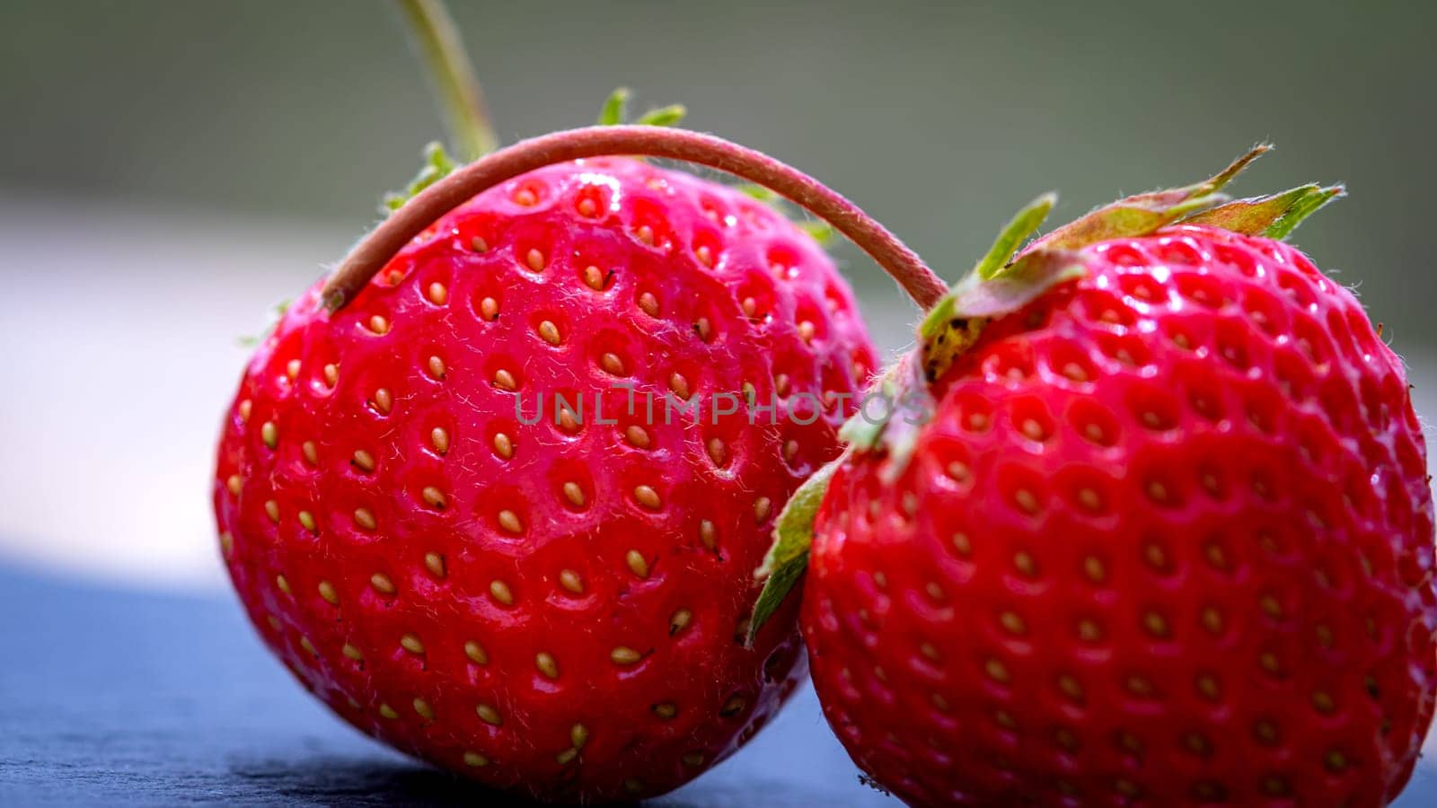 Close up of fresh strawberries showing seeds achenes. Details of fresh ripe red strawberries.